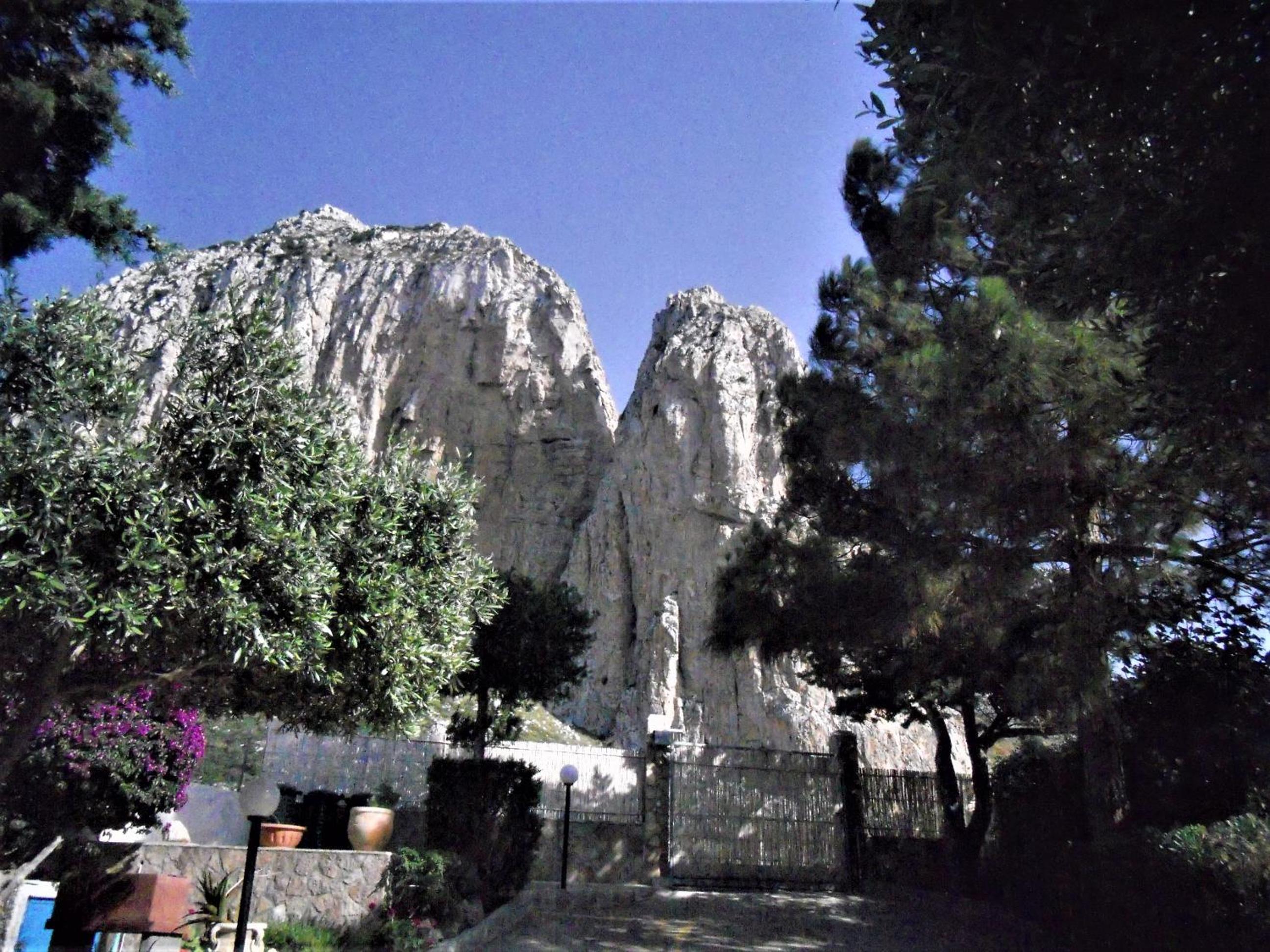 Photo 24