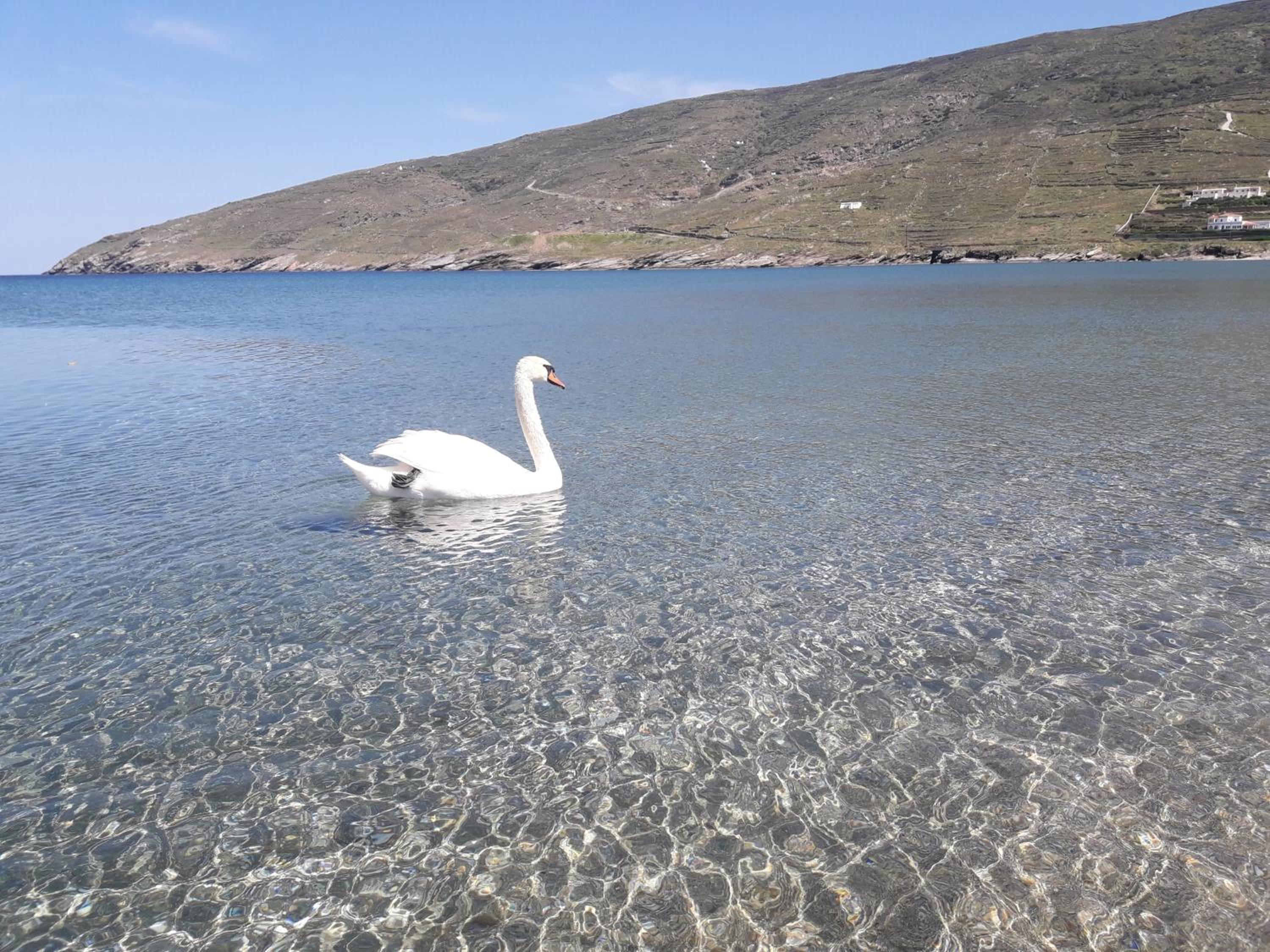 Liopi Village Andros