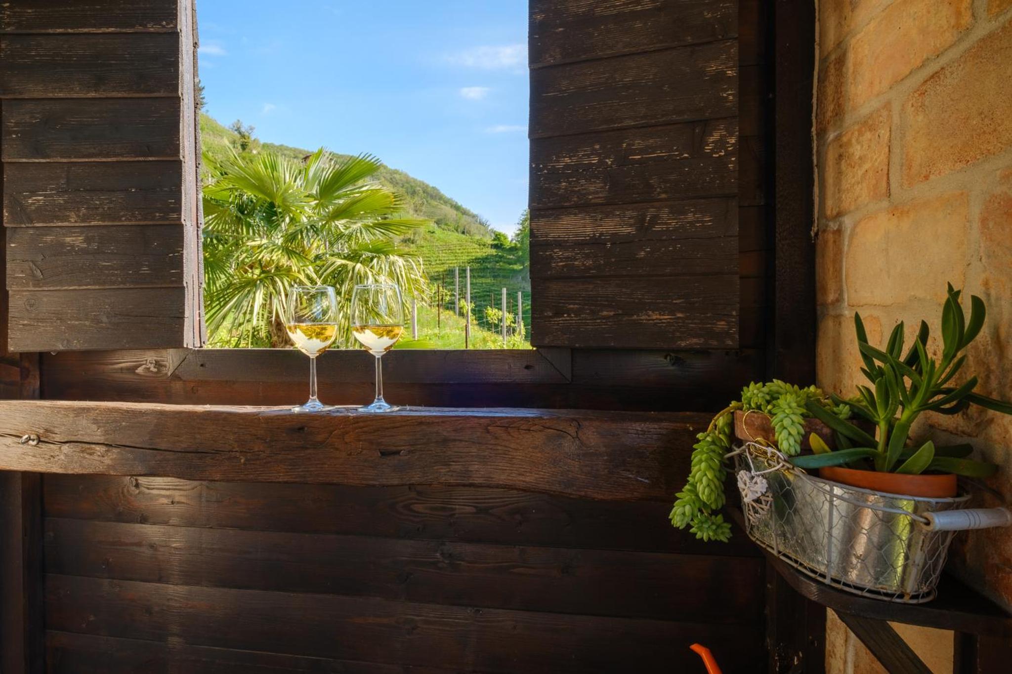 Le Vigne Panoramiche