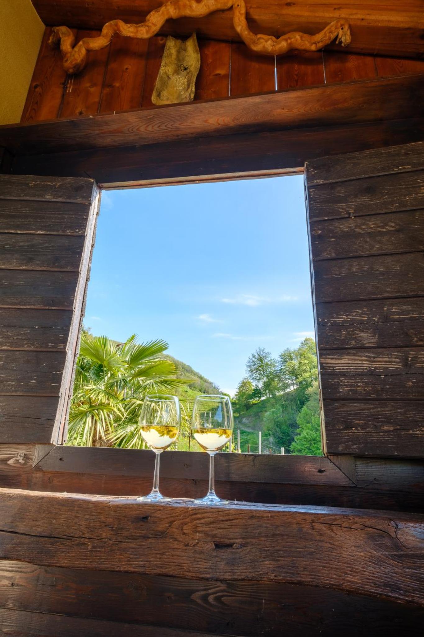 Le Vigne Panoramiche