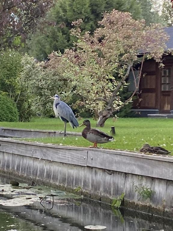Ferienhaus mit direktem Wasserzugang in Berlin-Köpenick