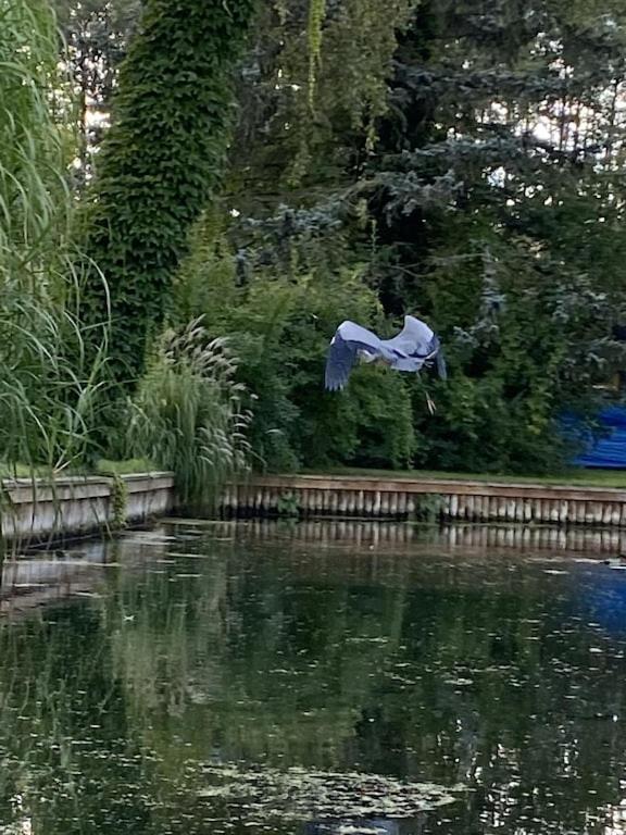 Ferienhaus mit direktem Wasserzugang in Berlin-Köpenick