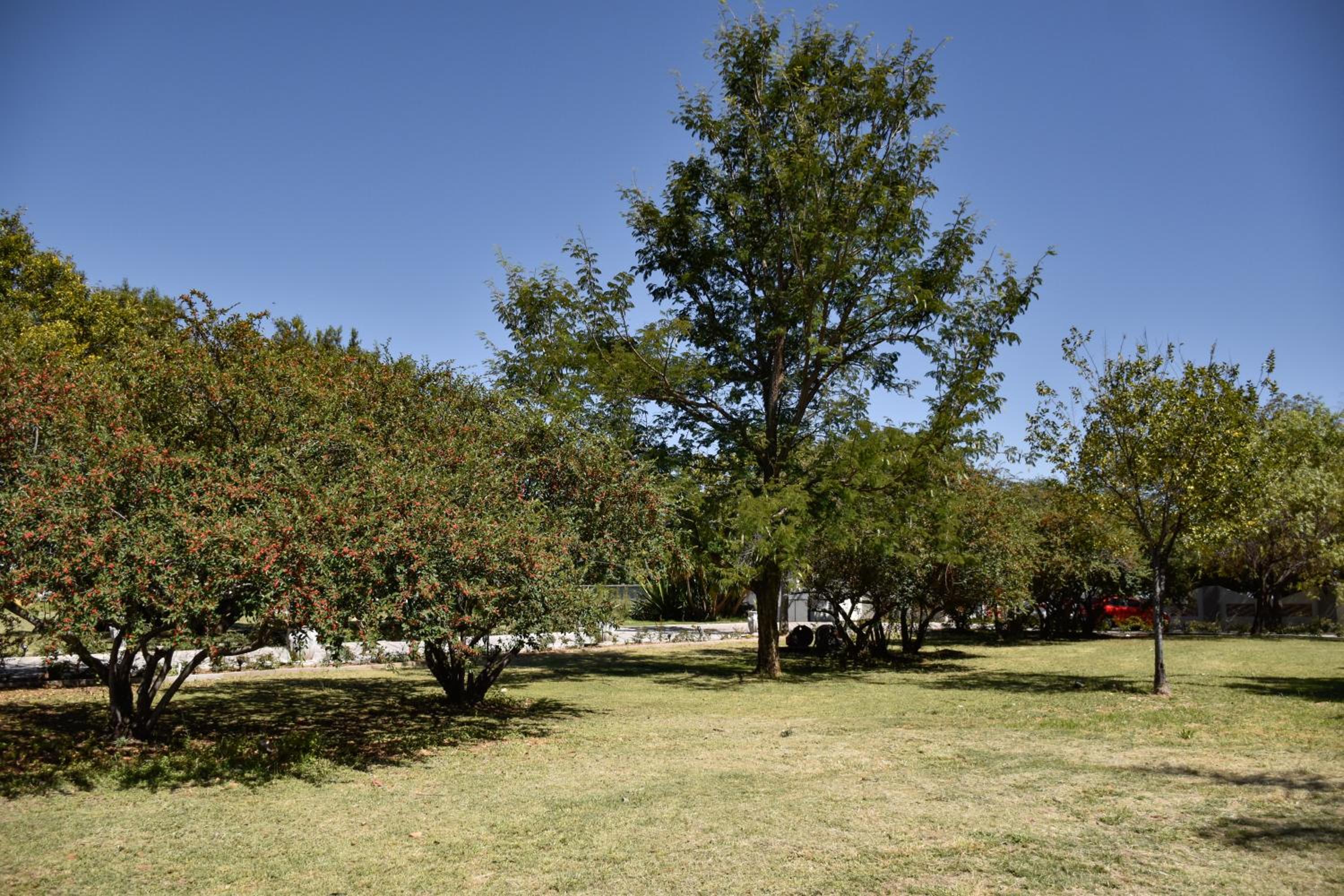 Photo 28