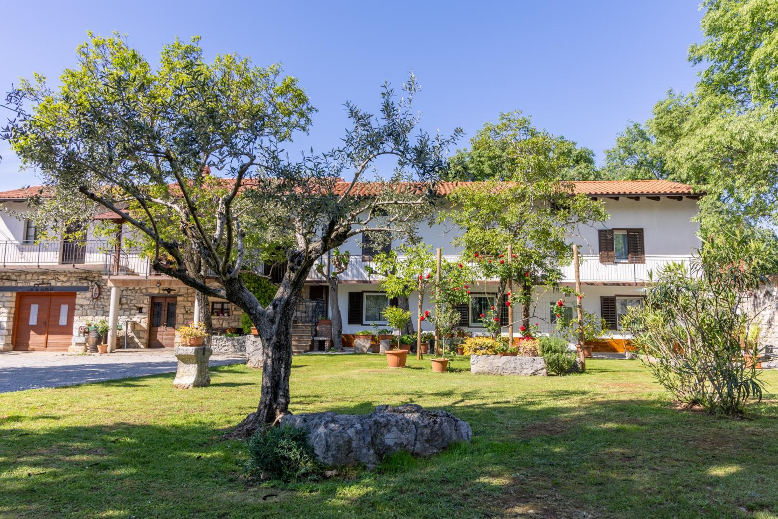 Domačija Mirko view 4