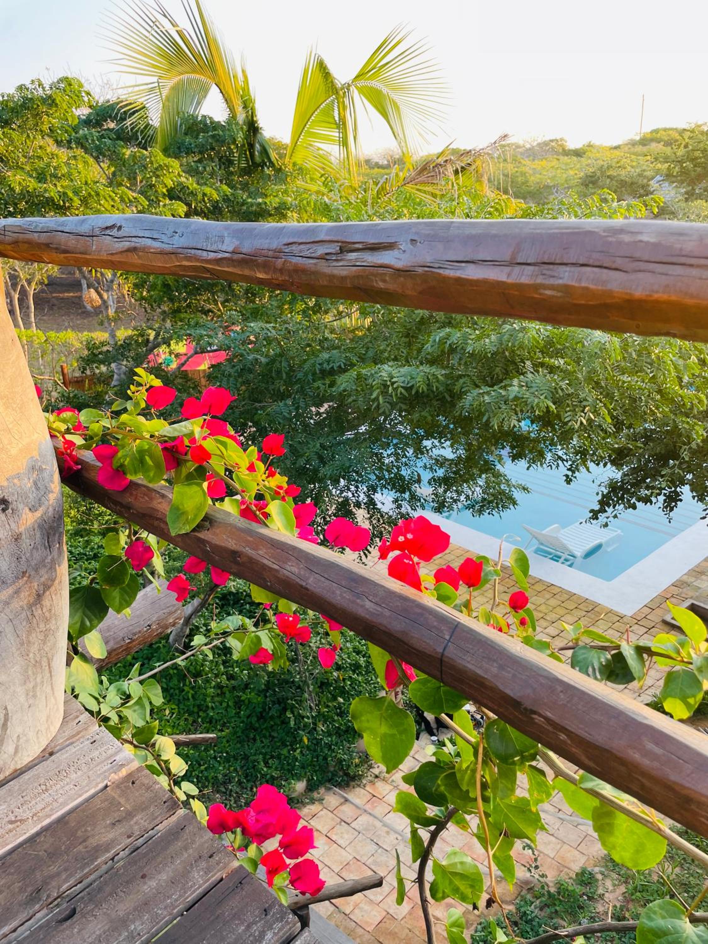 Mangal Beach Lodge