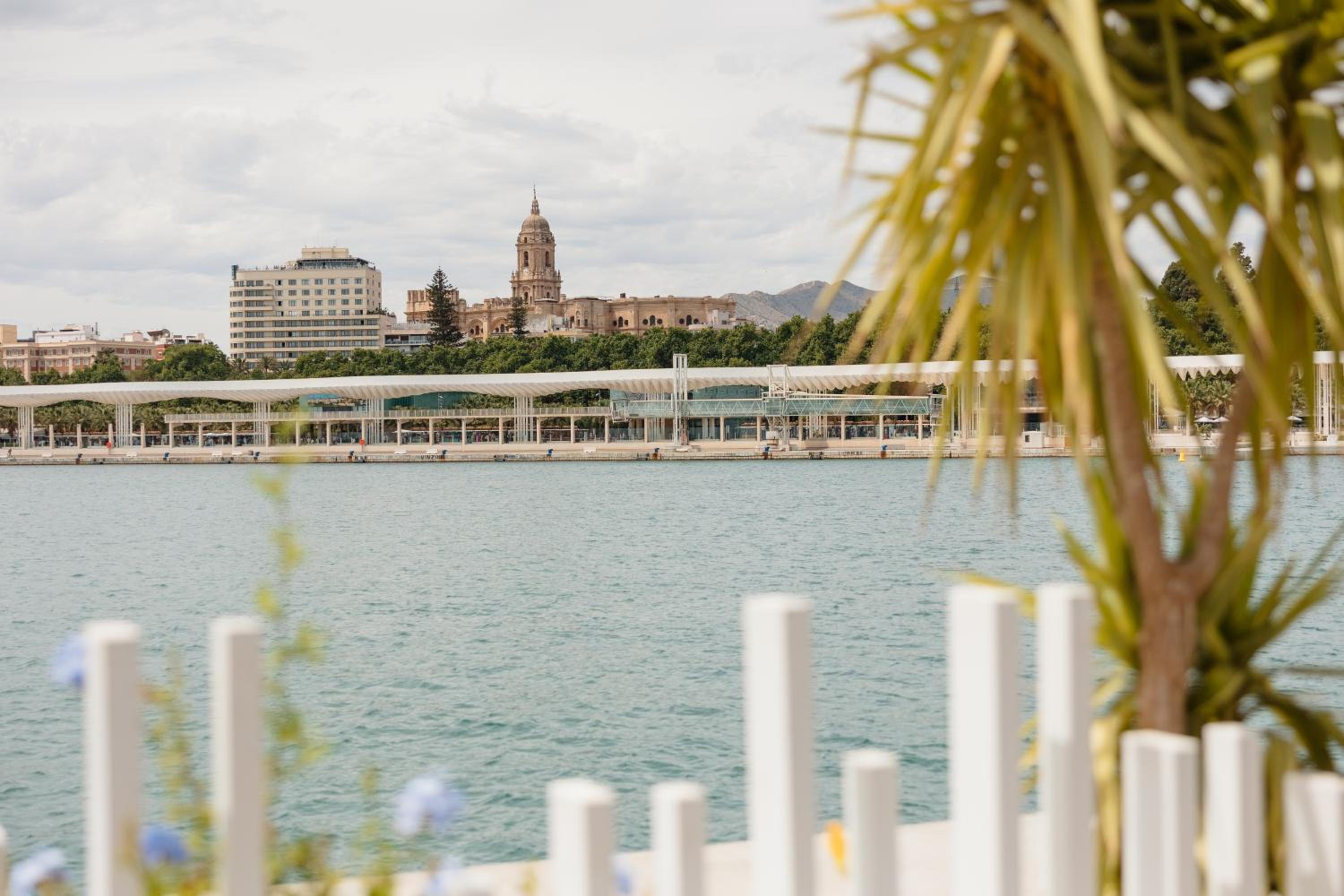 In the historic center of Malaga, very close to the beach and the AVE train station