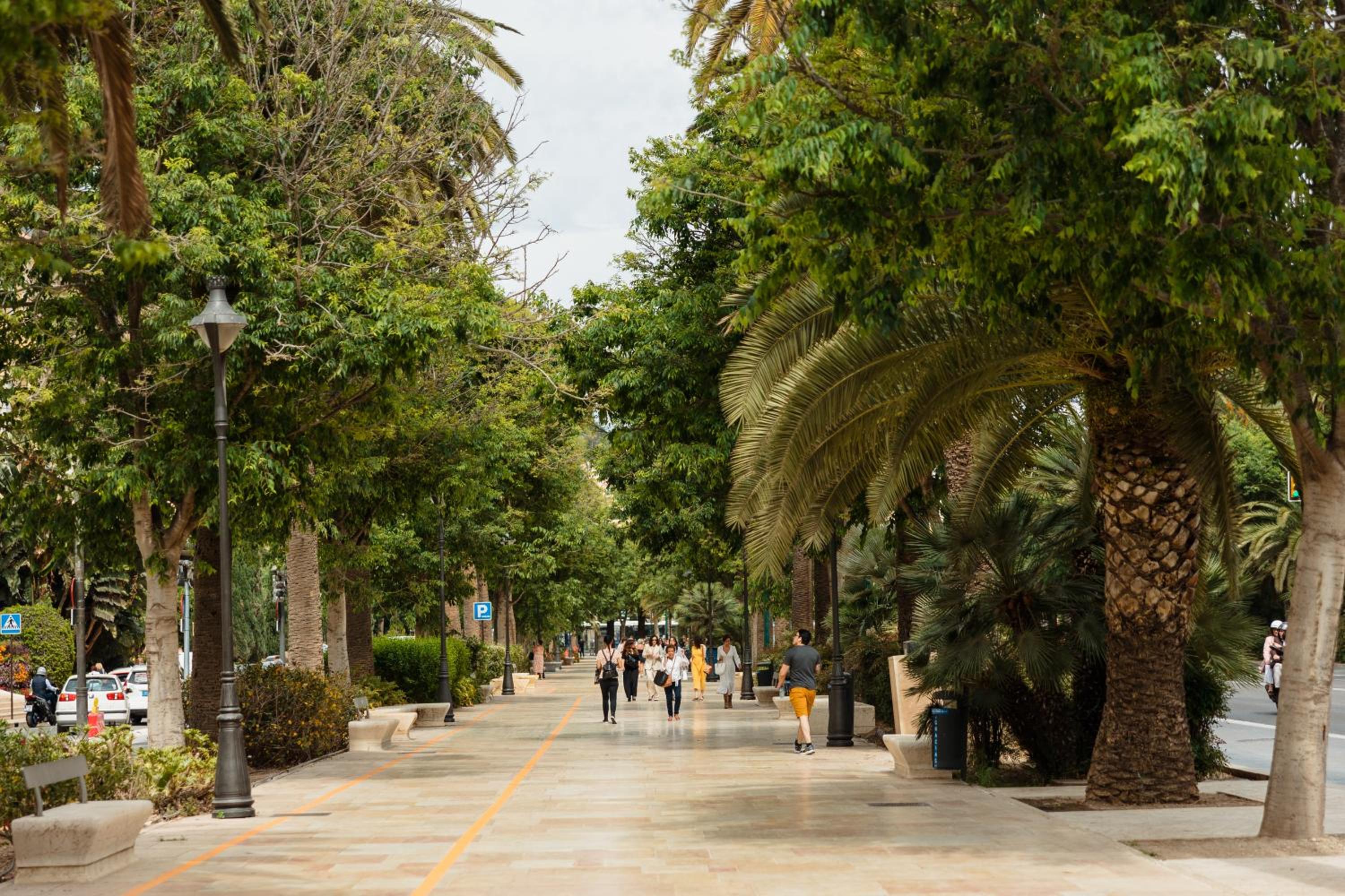 In the historic center of Malaga, very close to the beach and the AVE train station