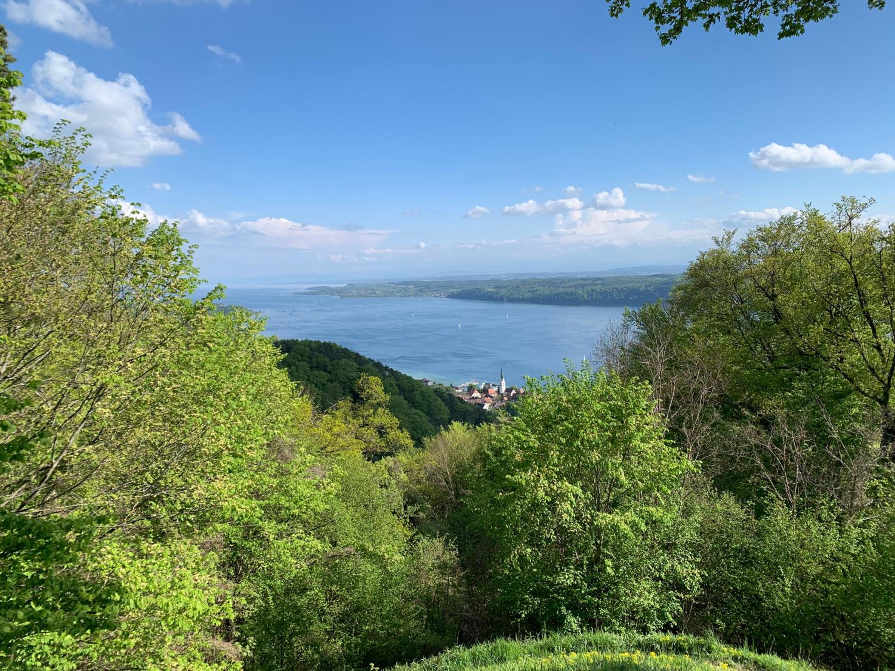 Gasthaus Traube, Ludwigshafen, Bodensee, Seenah gelegen