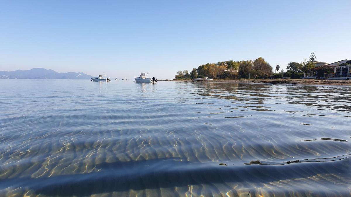 Villa Kormos photo 2