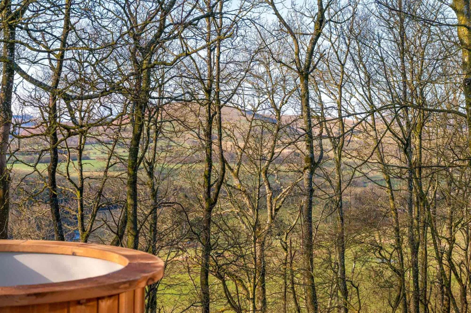 Daffodil, Penruddock Eco & dog friendly lodge with hot tub