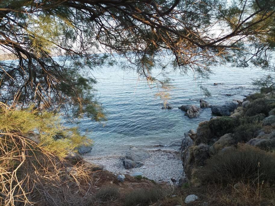 Andros summer house view 2
