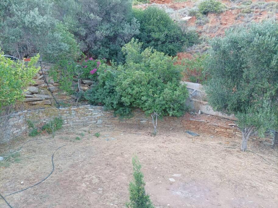 Andros summer house view 4