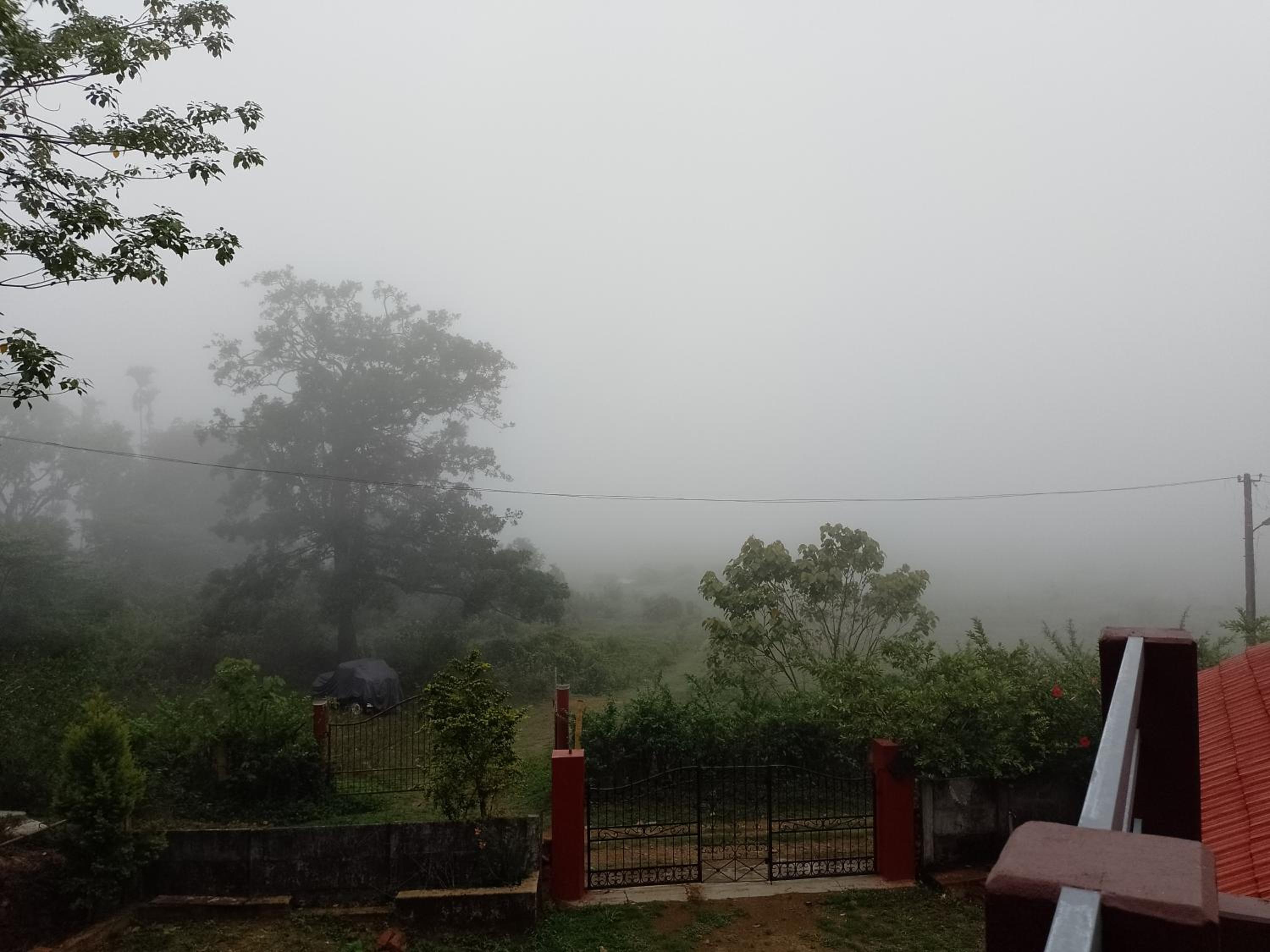 Chilly Coorg view 5