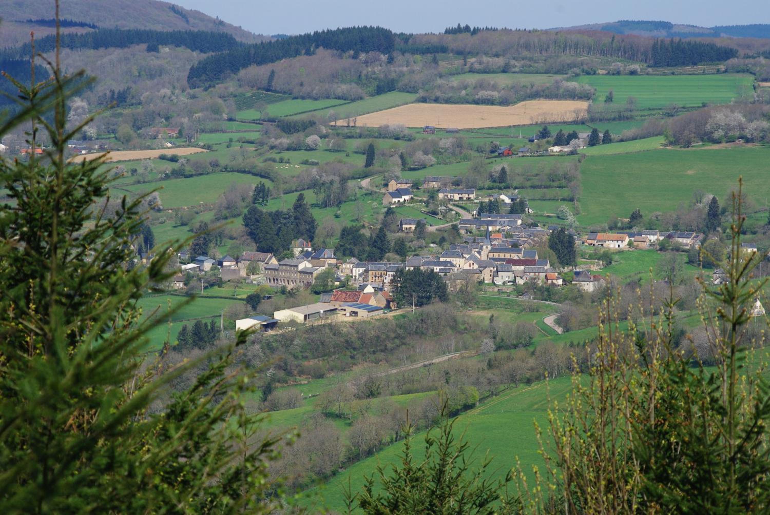 Photo 21