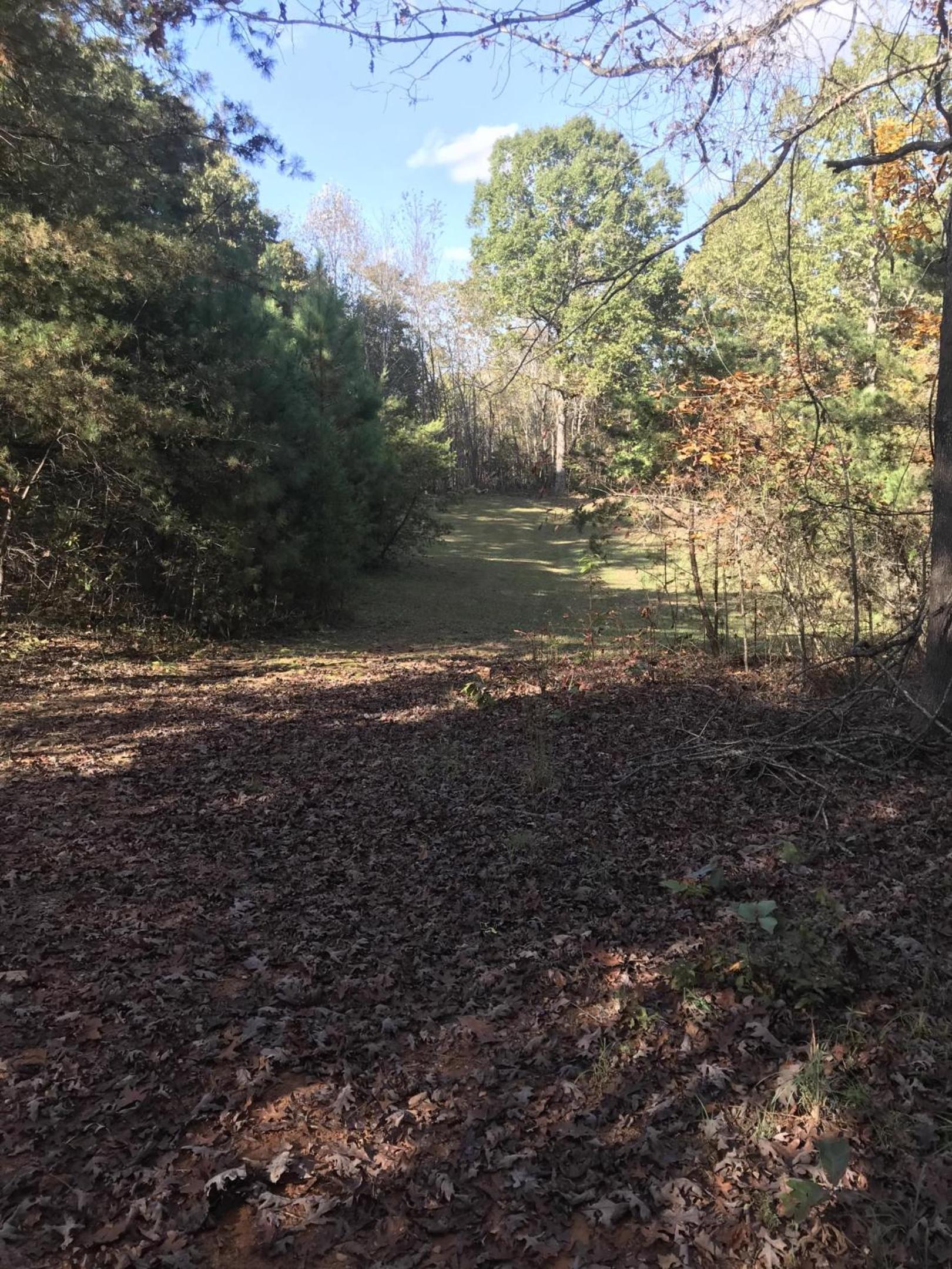 Close To Wineries, Pet Friendly, A-C - Property Image 8