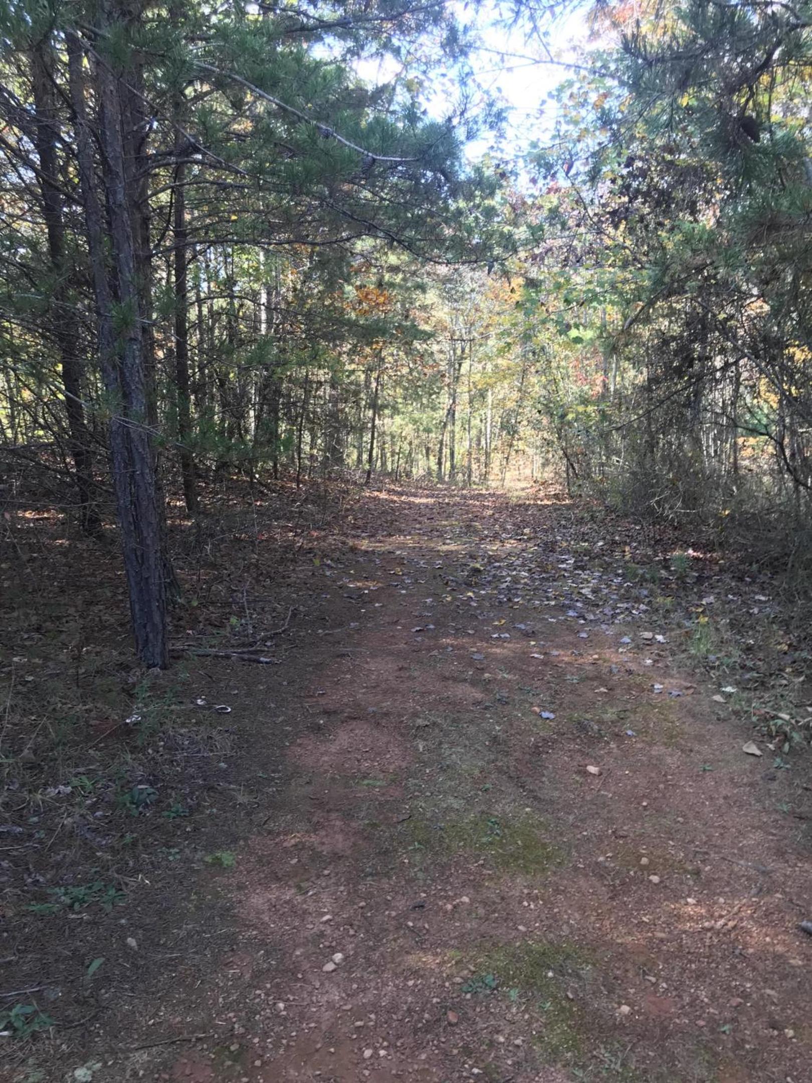 Close To Wineries, Pet Friendly, A-C - Property Image 7