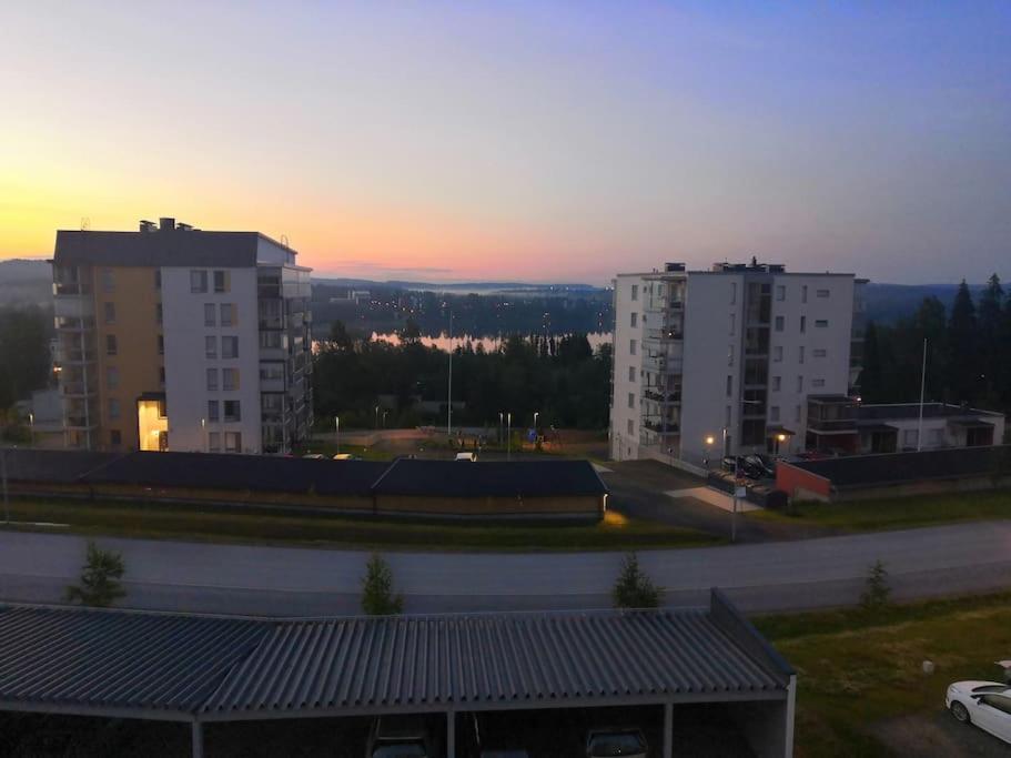 Kolmio järvinäkymin, Palokka