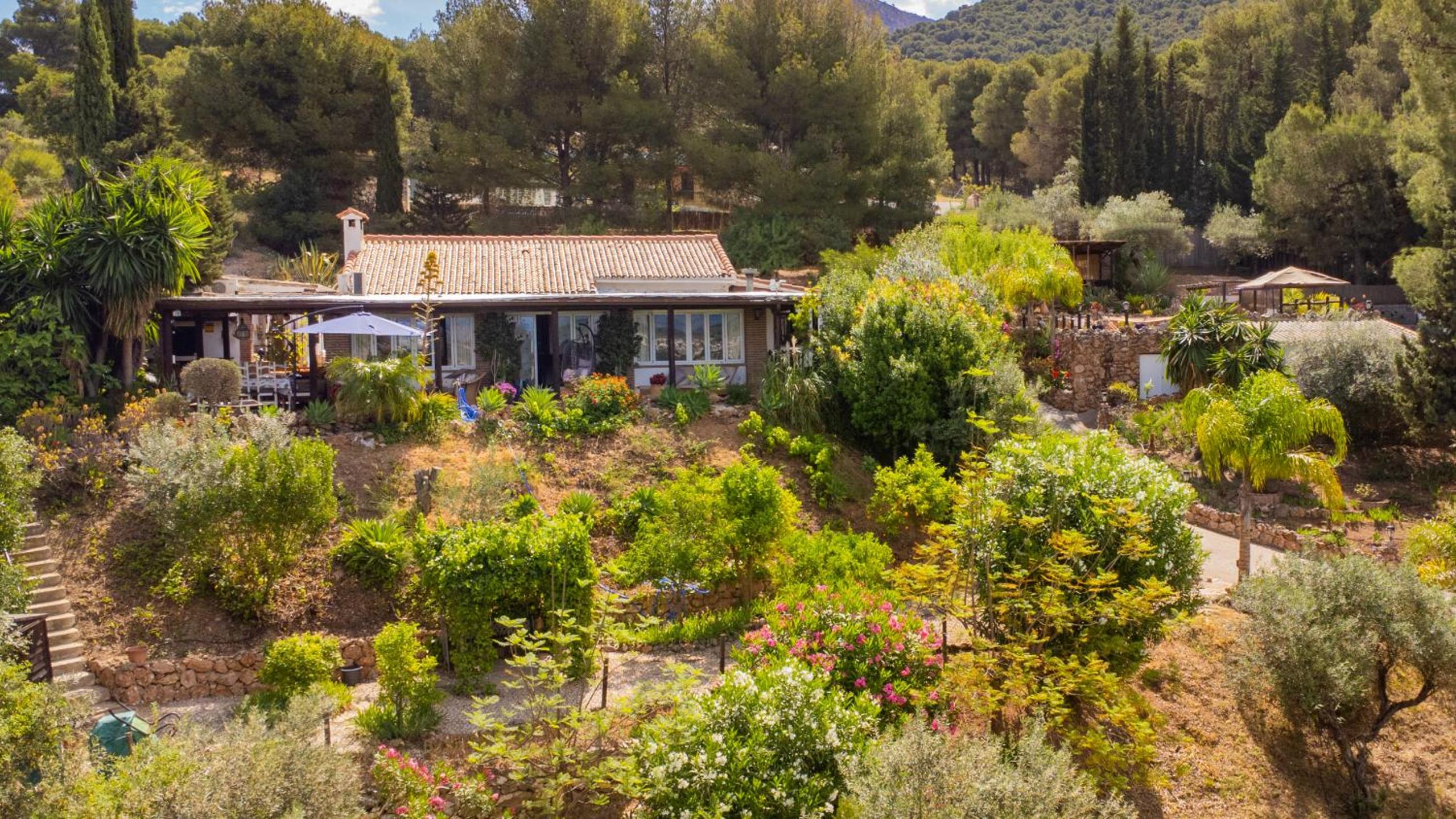 Cubo's Casa Maracai