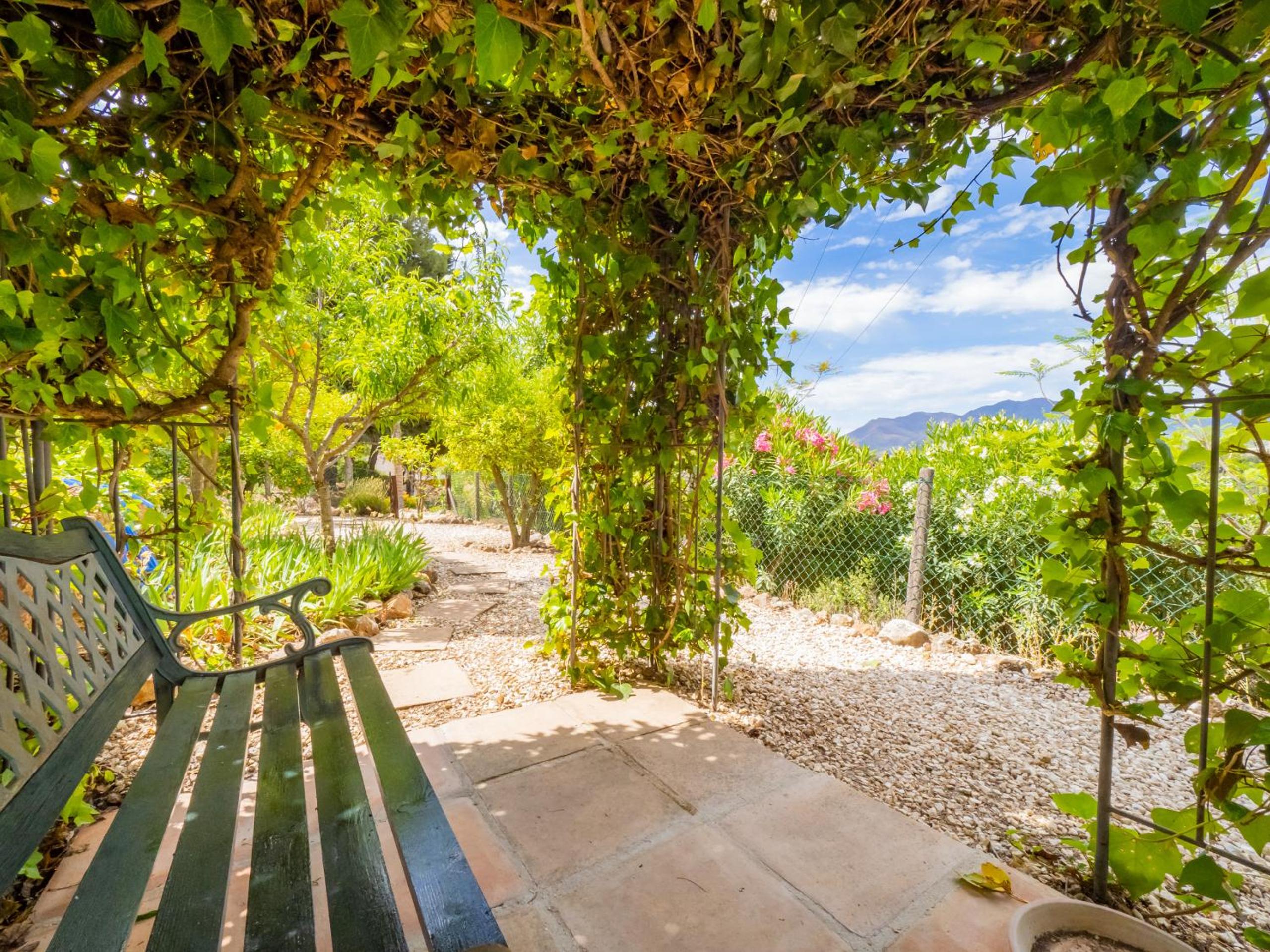 Cubo's Casa Maracai
