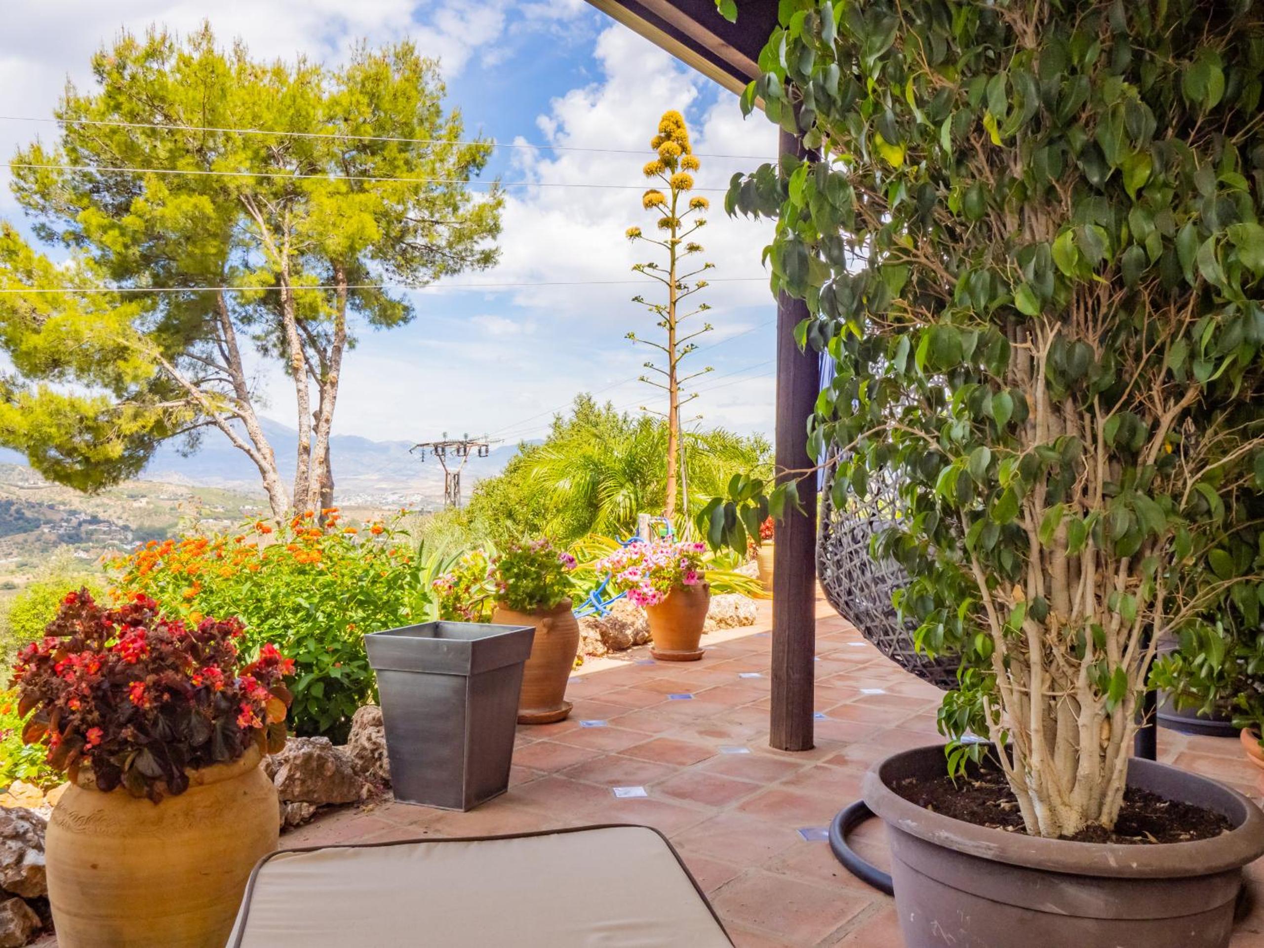 Cubo's Casa Maracai