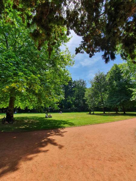 Am Stadtpark mit Parkplatz 1ZKB 48qm