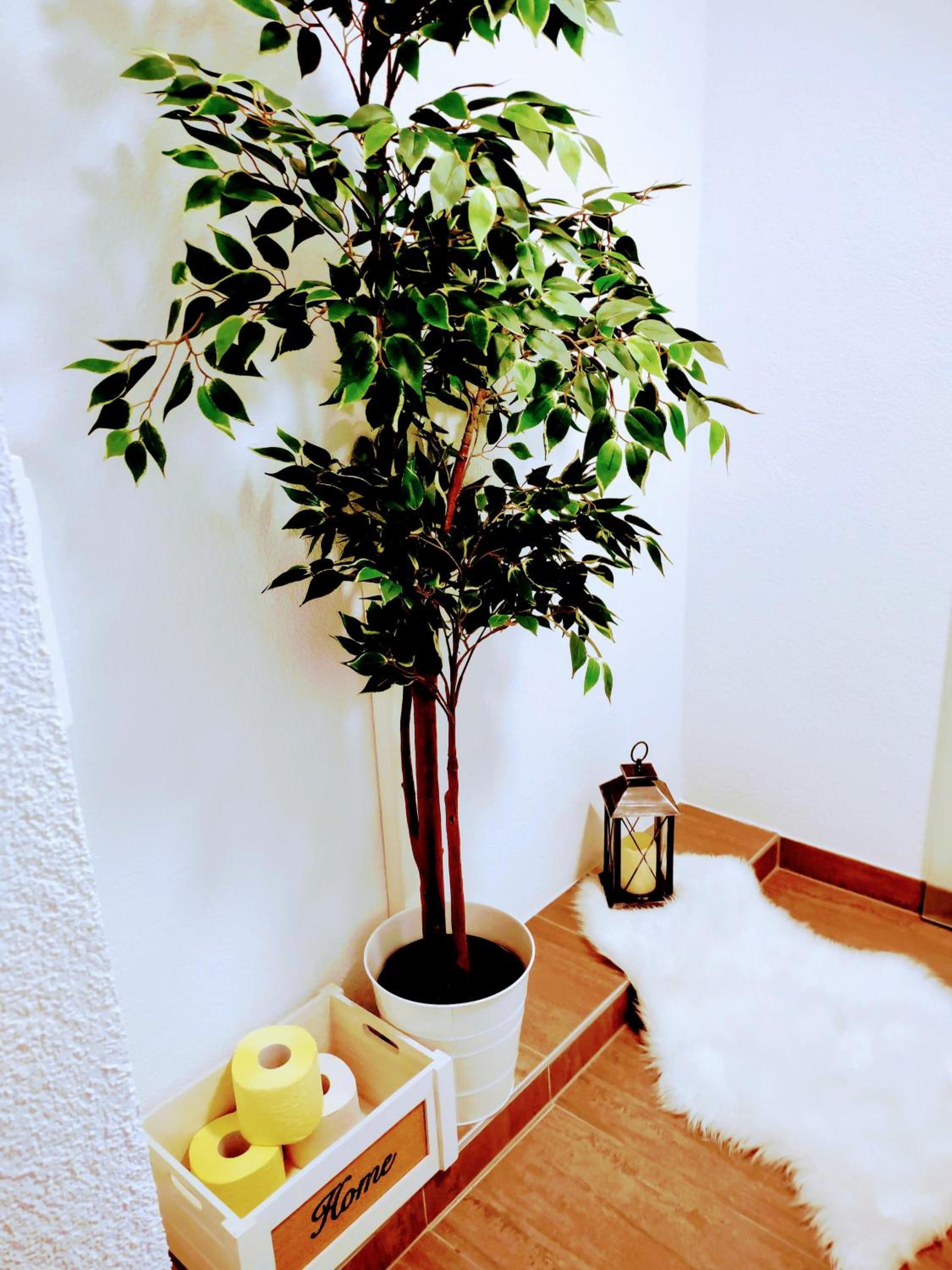 Ferienwohnung Familie Fiechtl