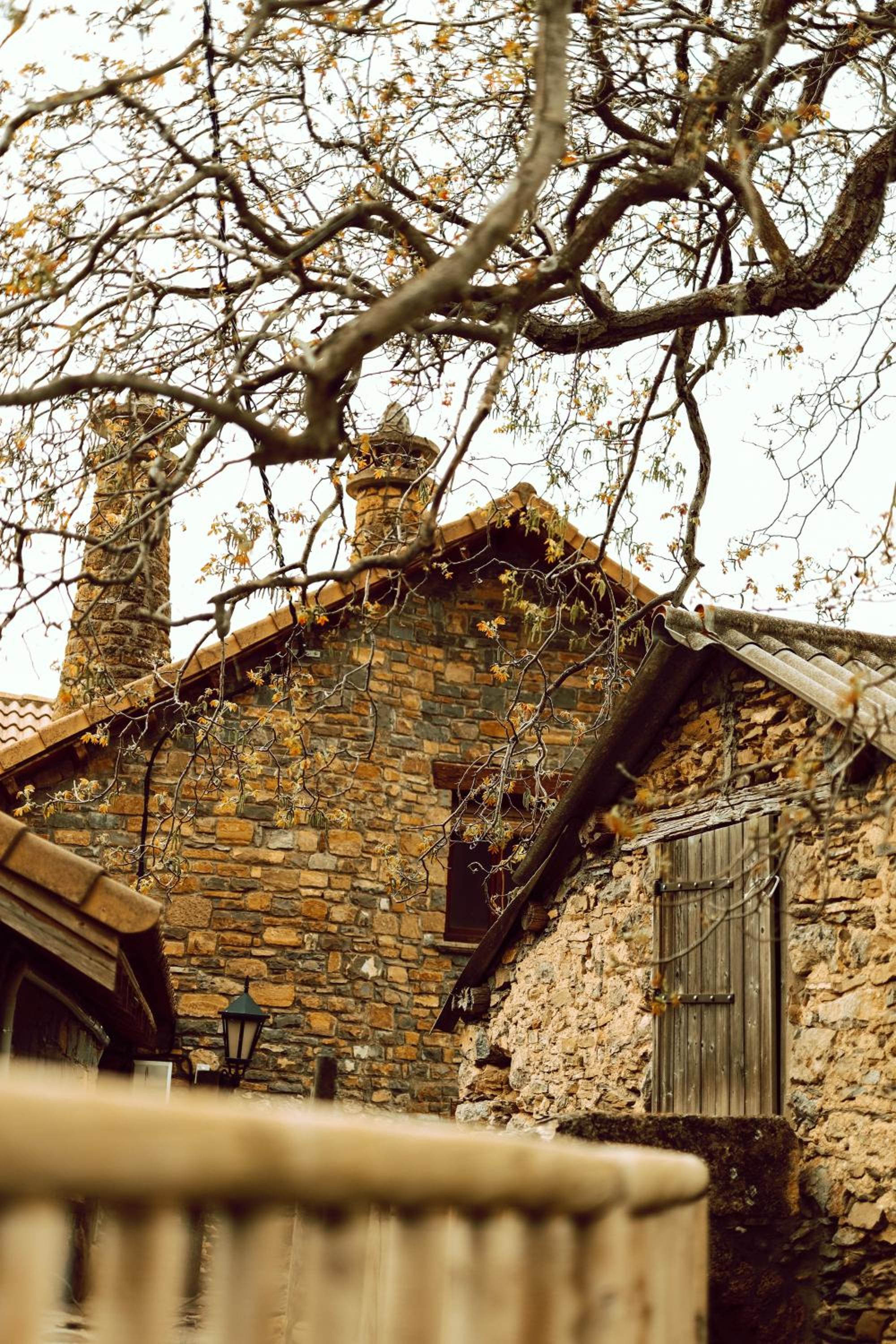 Photo 44