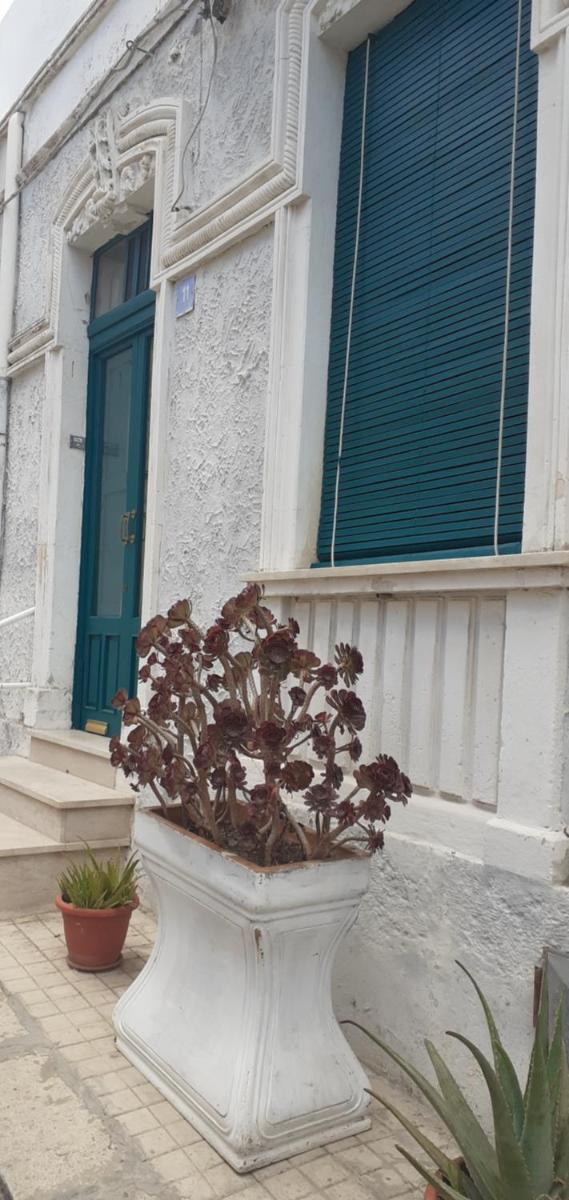 VitaNovella photo 3