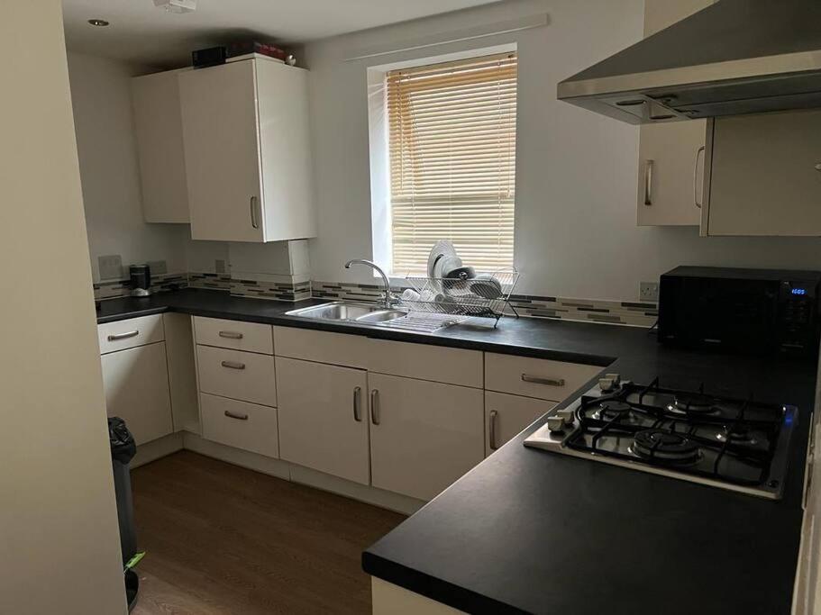 Comfy One bedroom Apartment