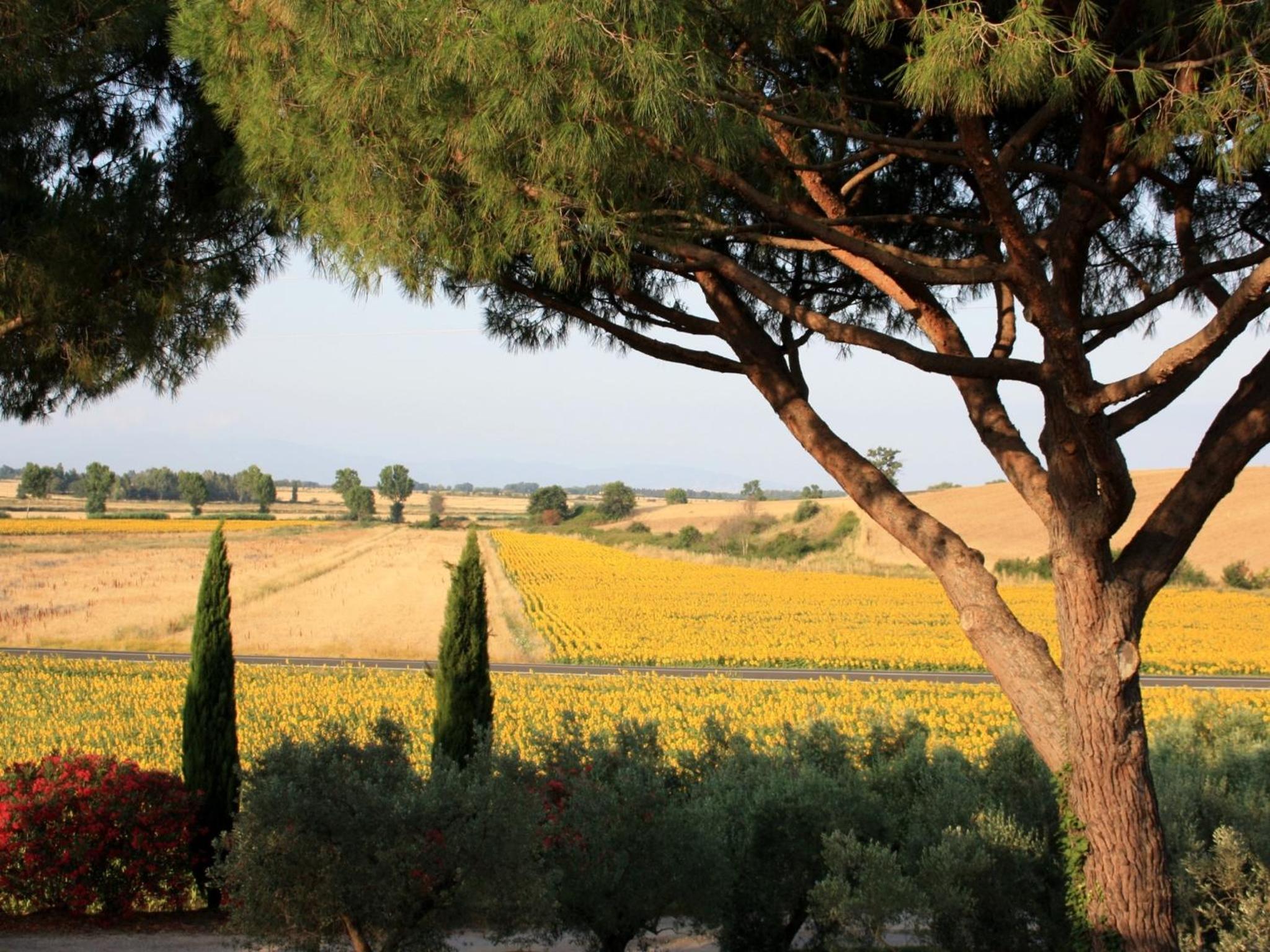 Agriturismo Peretti