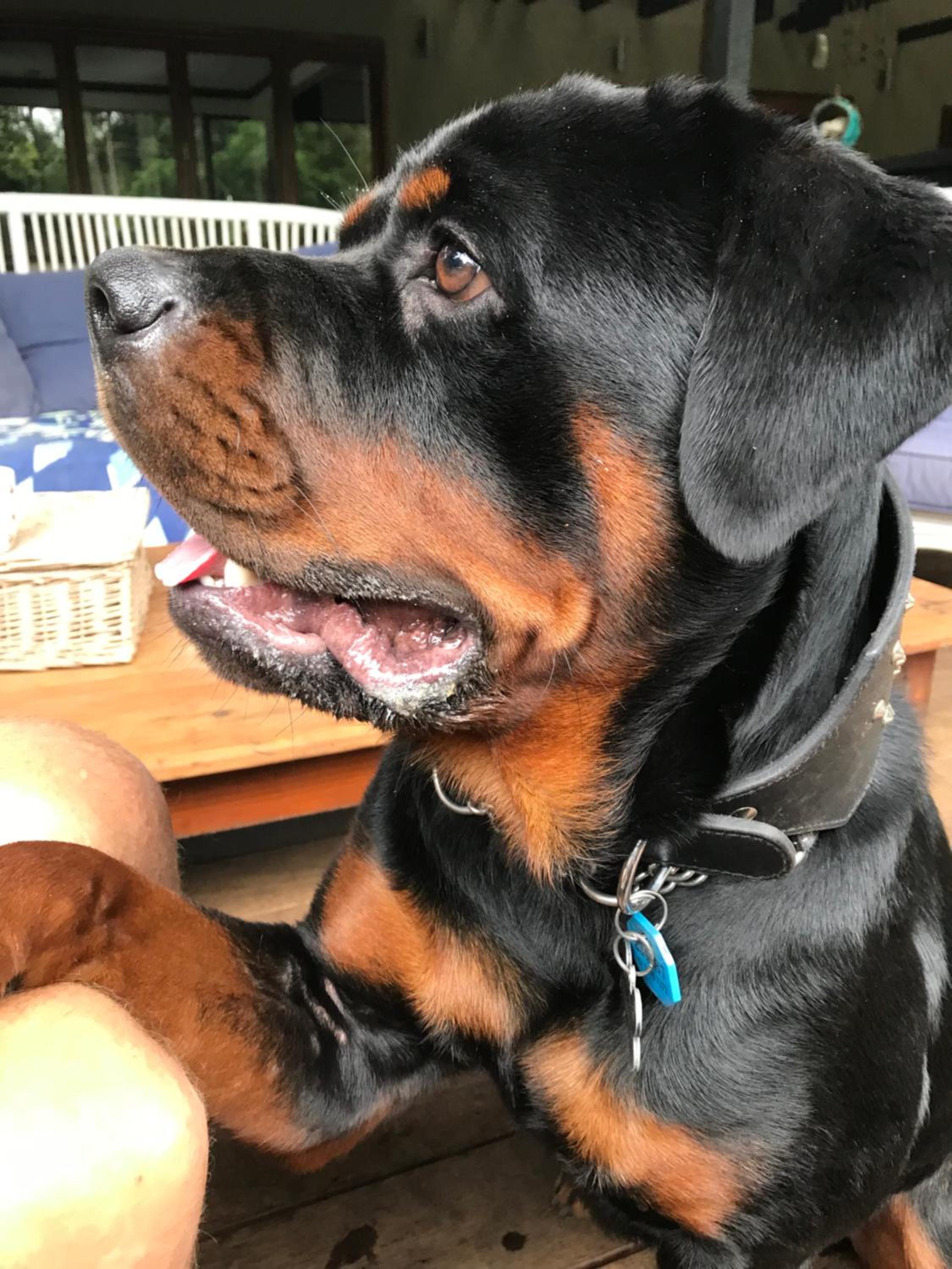 human