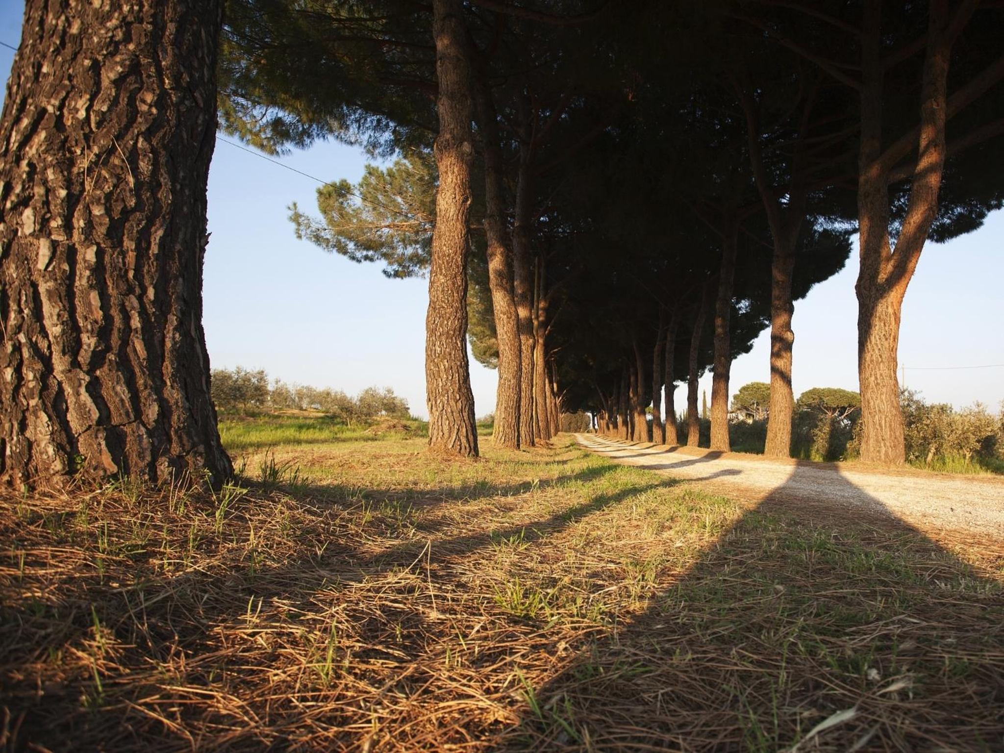 Agriturismo Peretti