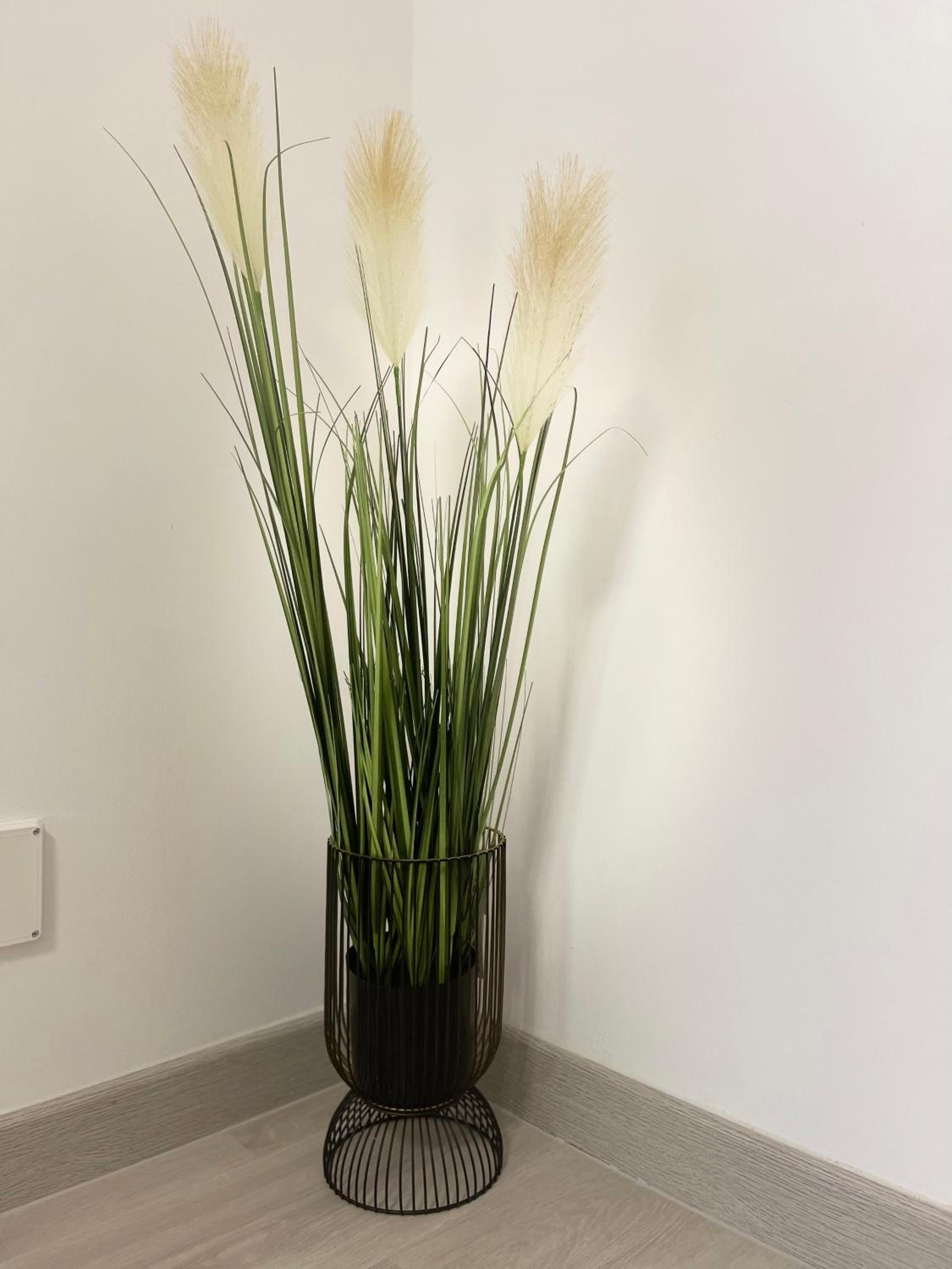 Triumf Apartment