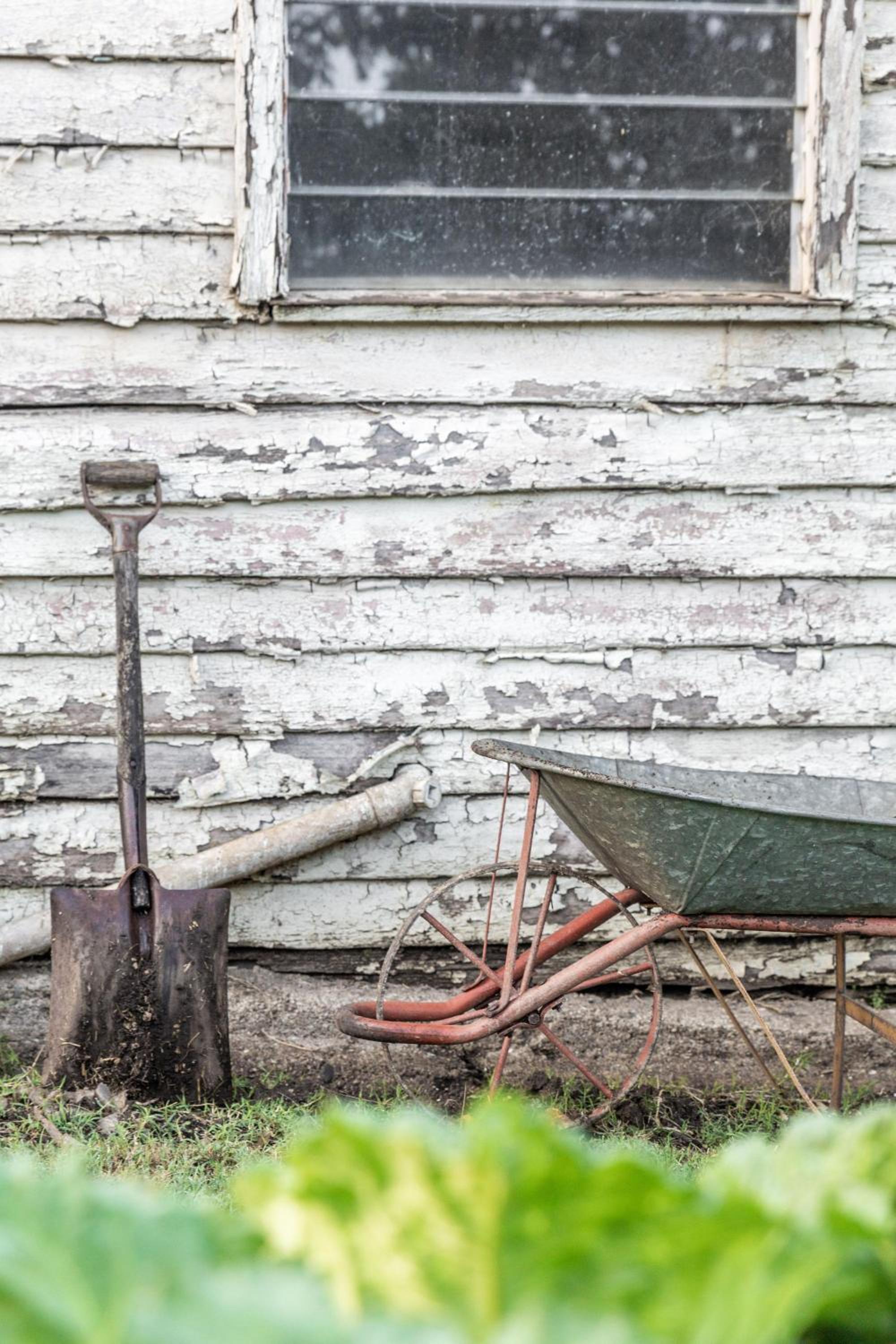 Myrtle Creek Cottage