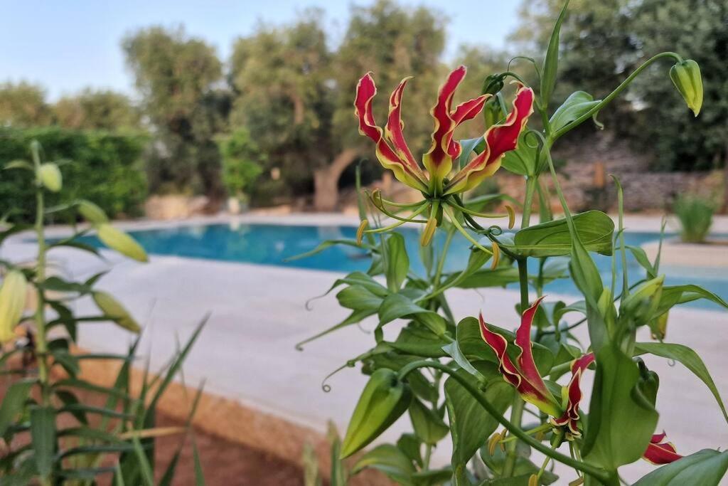 TRULLO ALLA CASINA GIUSEPPINA