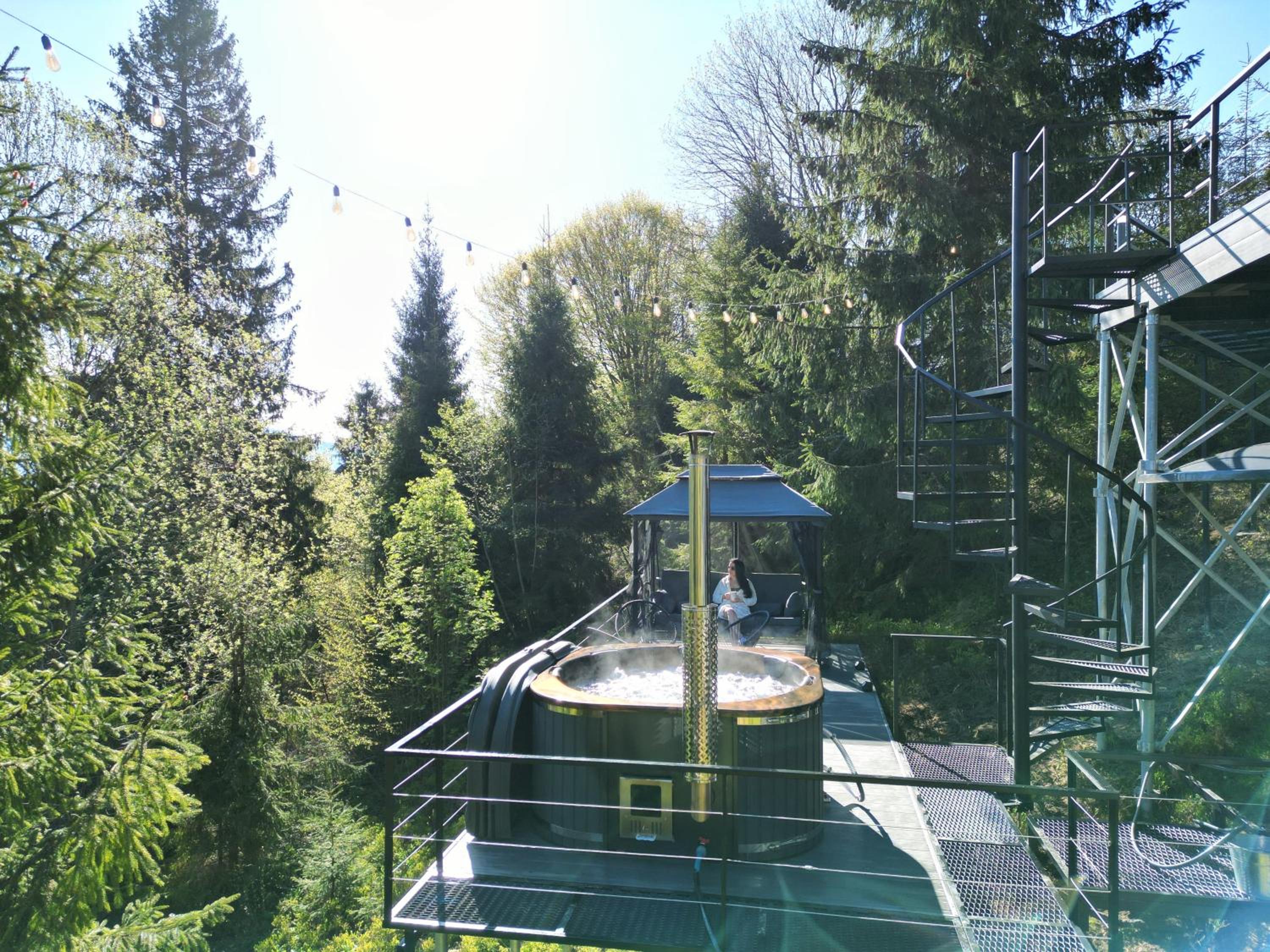 Forest Hub