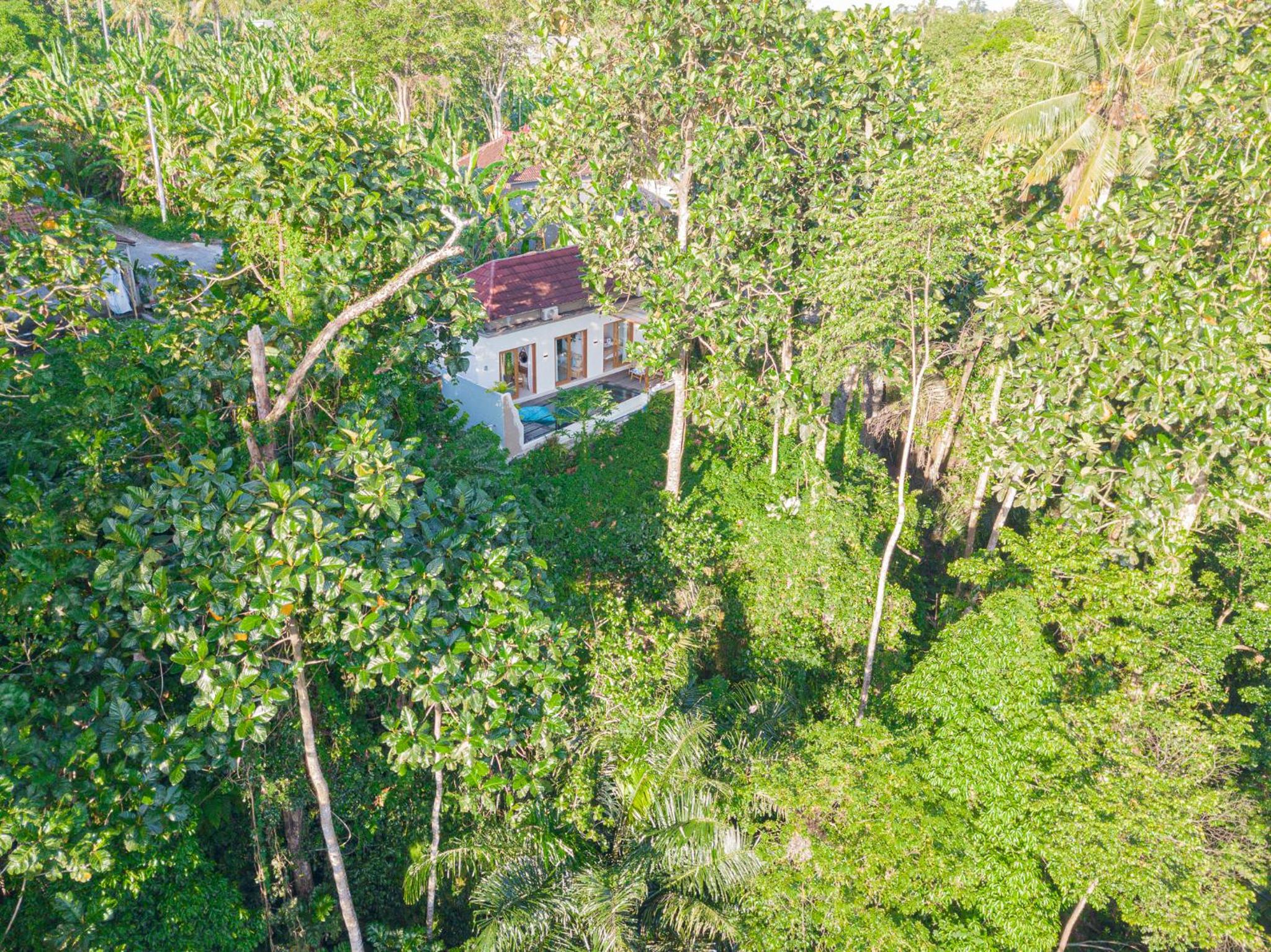 Lero Jungle House by Bukit Vista view 5