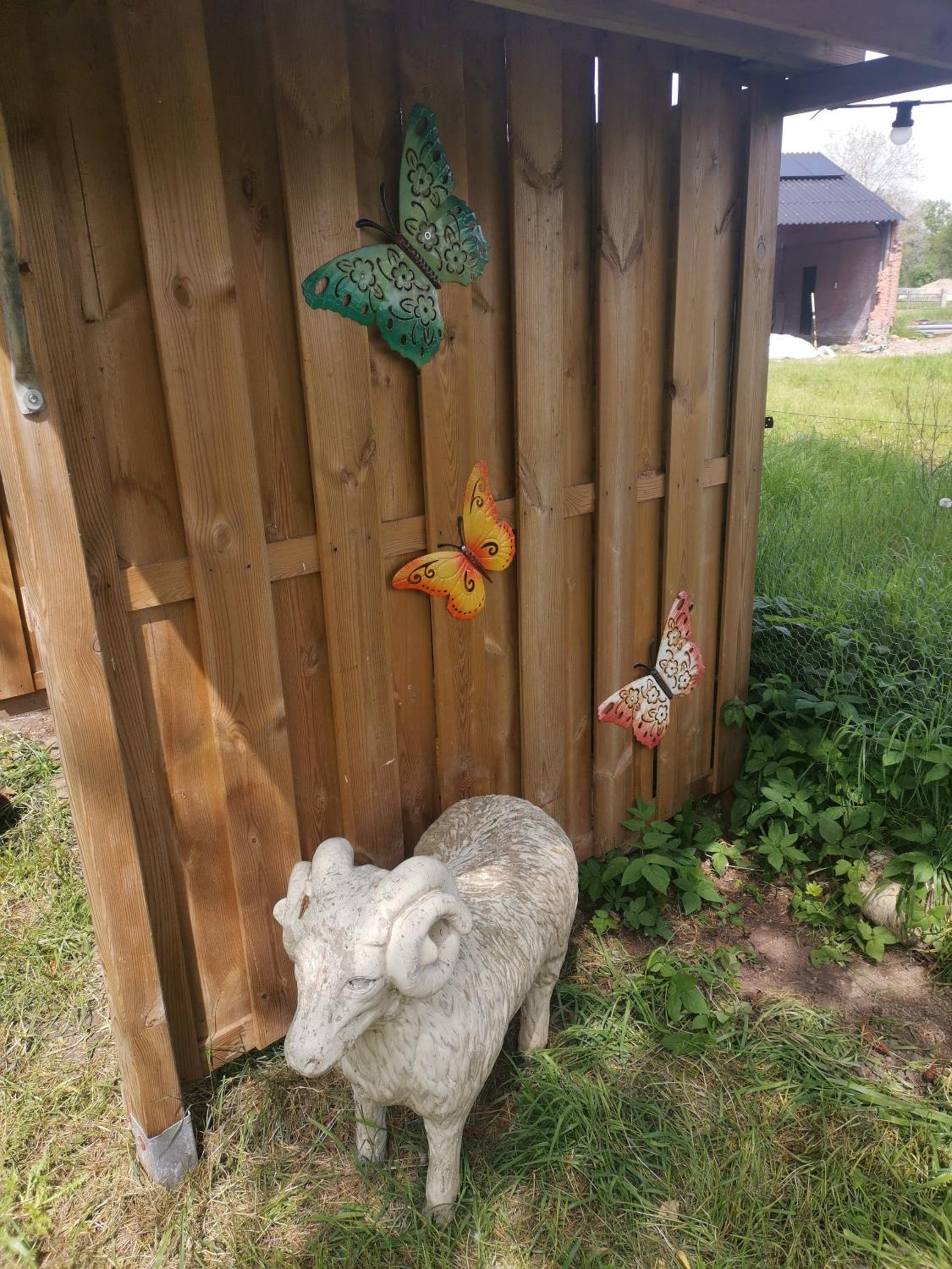 Photo 8