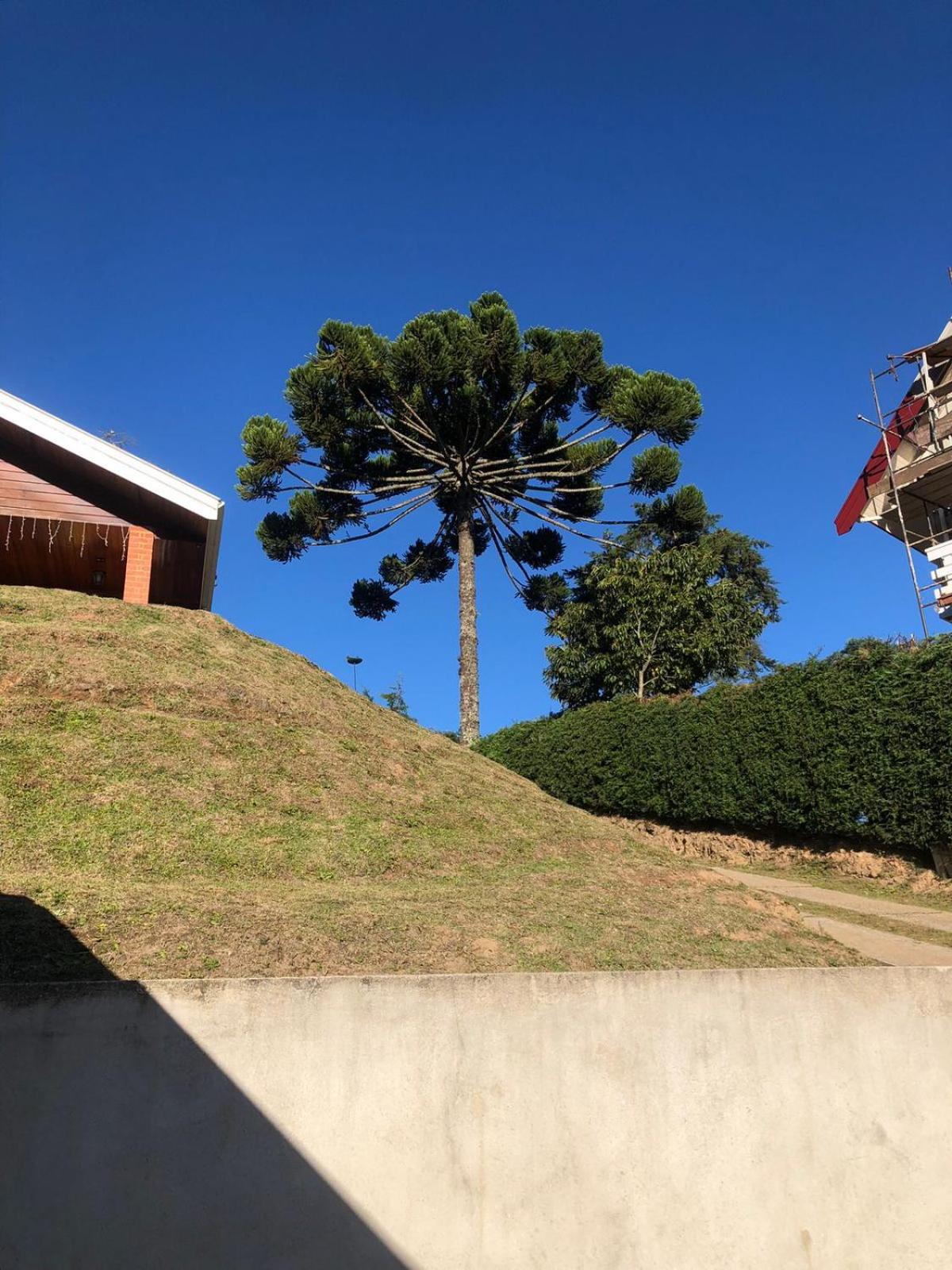 Casa Aconchegante na Montanha