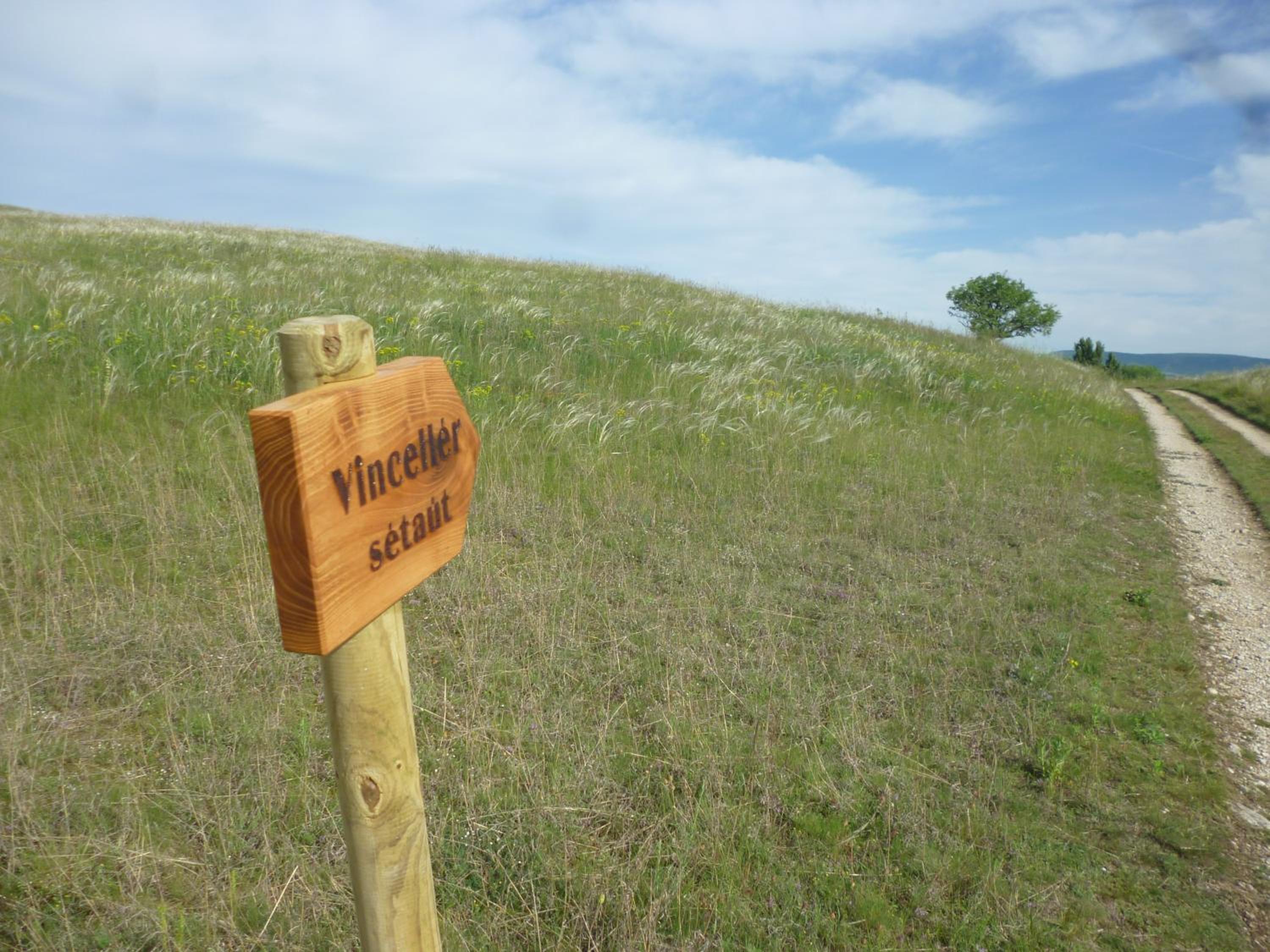 Vincellér Vendégház