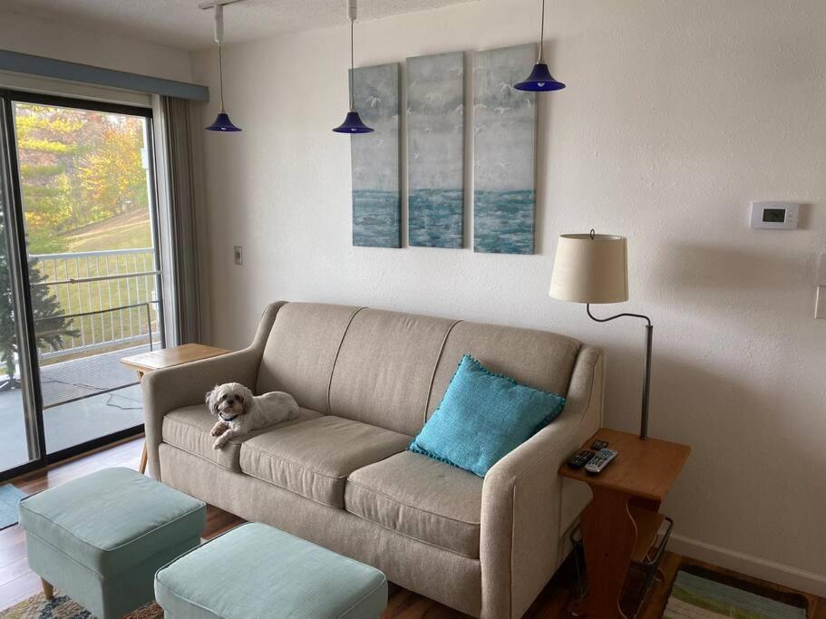Waterfront Condo with ZERO STEPS to the front door view 3