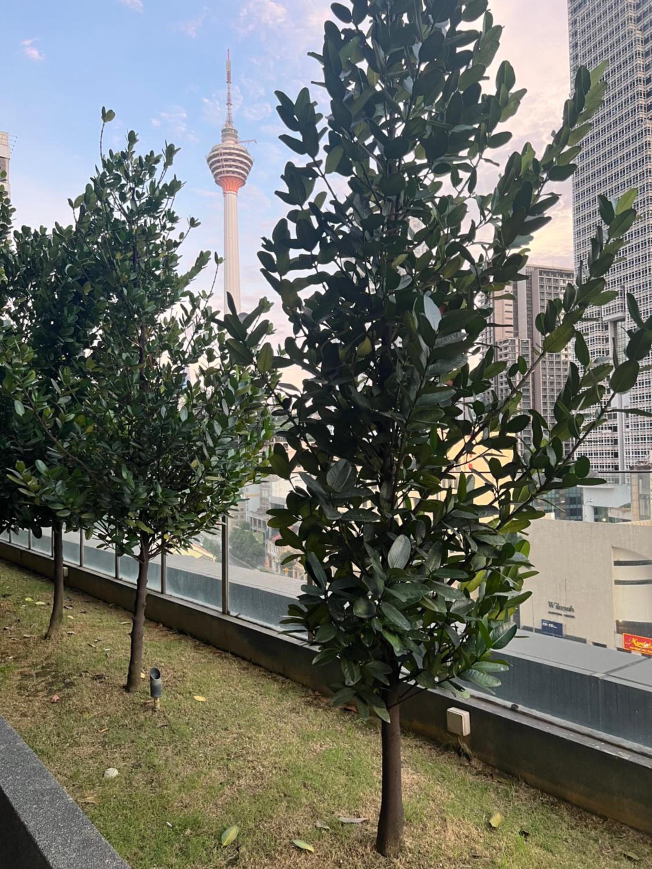 Anggun KL Malaysia