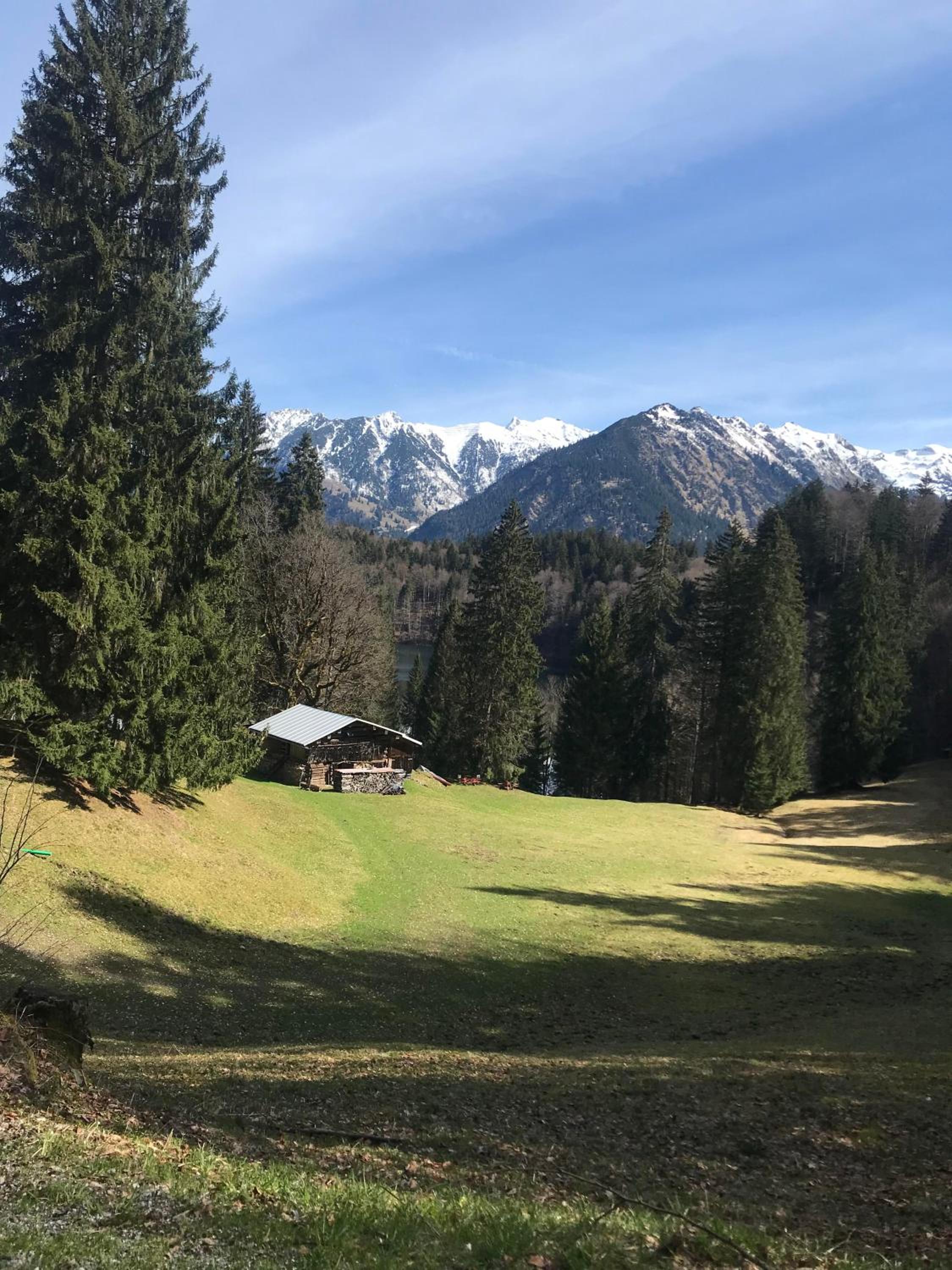 Grünten-Blick Apartment
