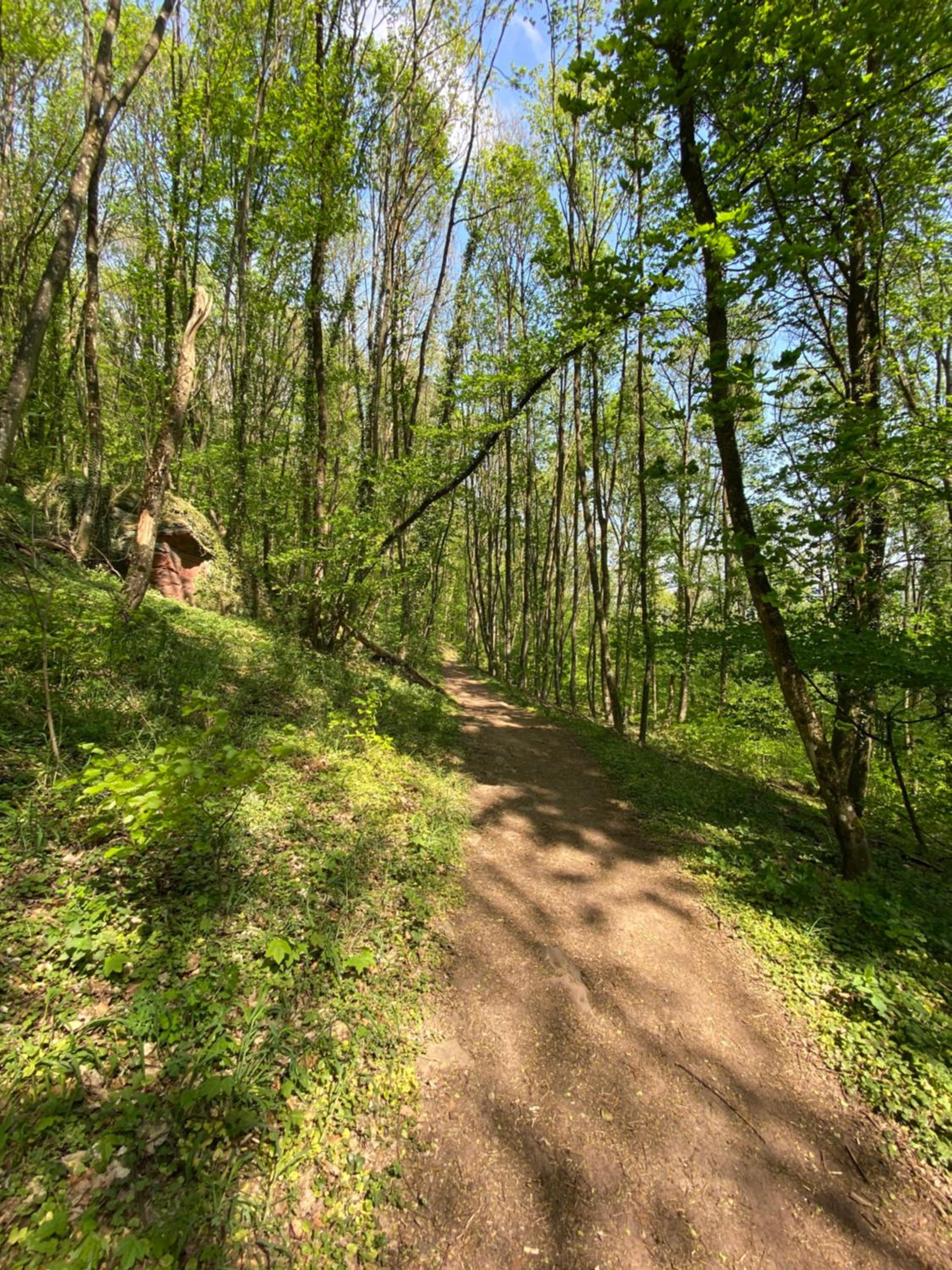 Ferienwohnungen Annweiler am Trifels - Property Image 7
