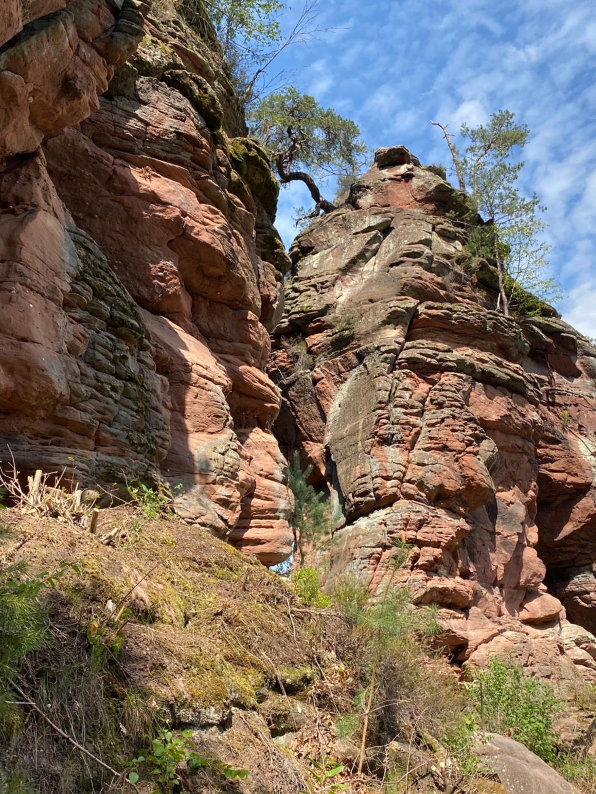 Ferienwohnungen Annweiler am Trifels - Property Image 4