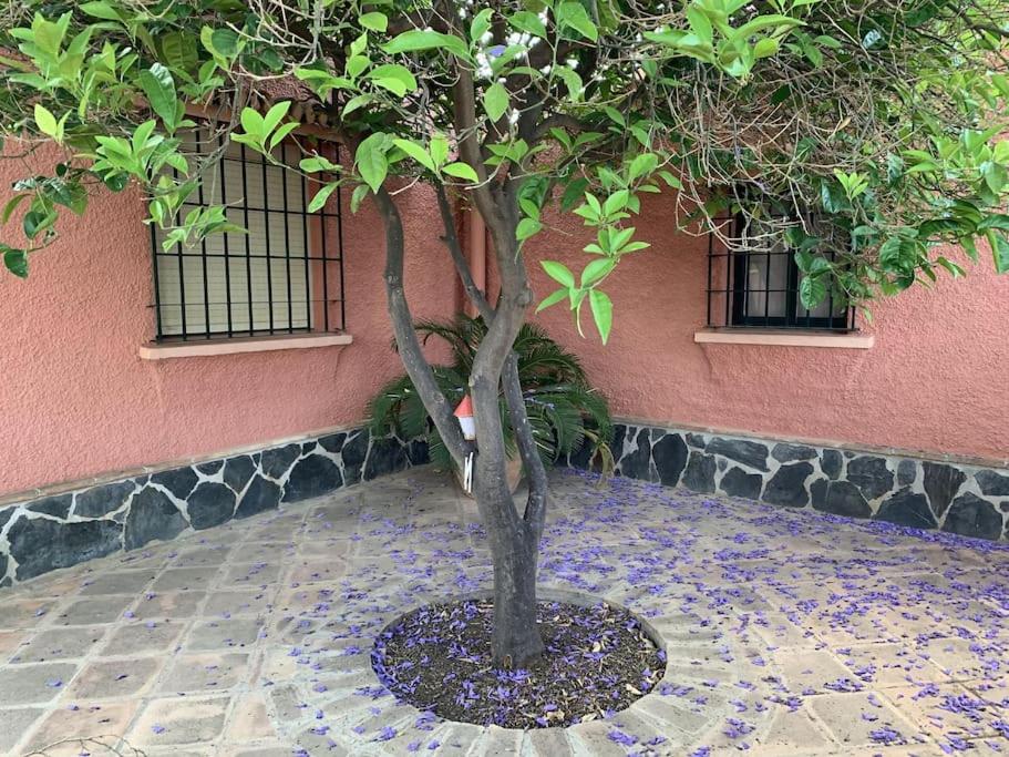 Villa costa del sol photo 2