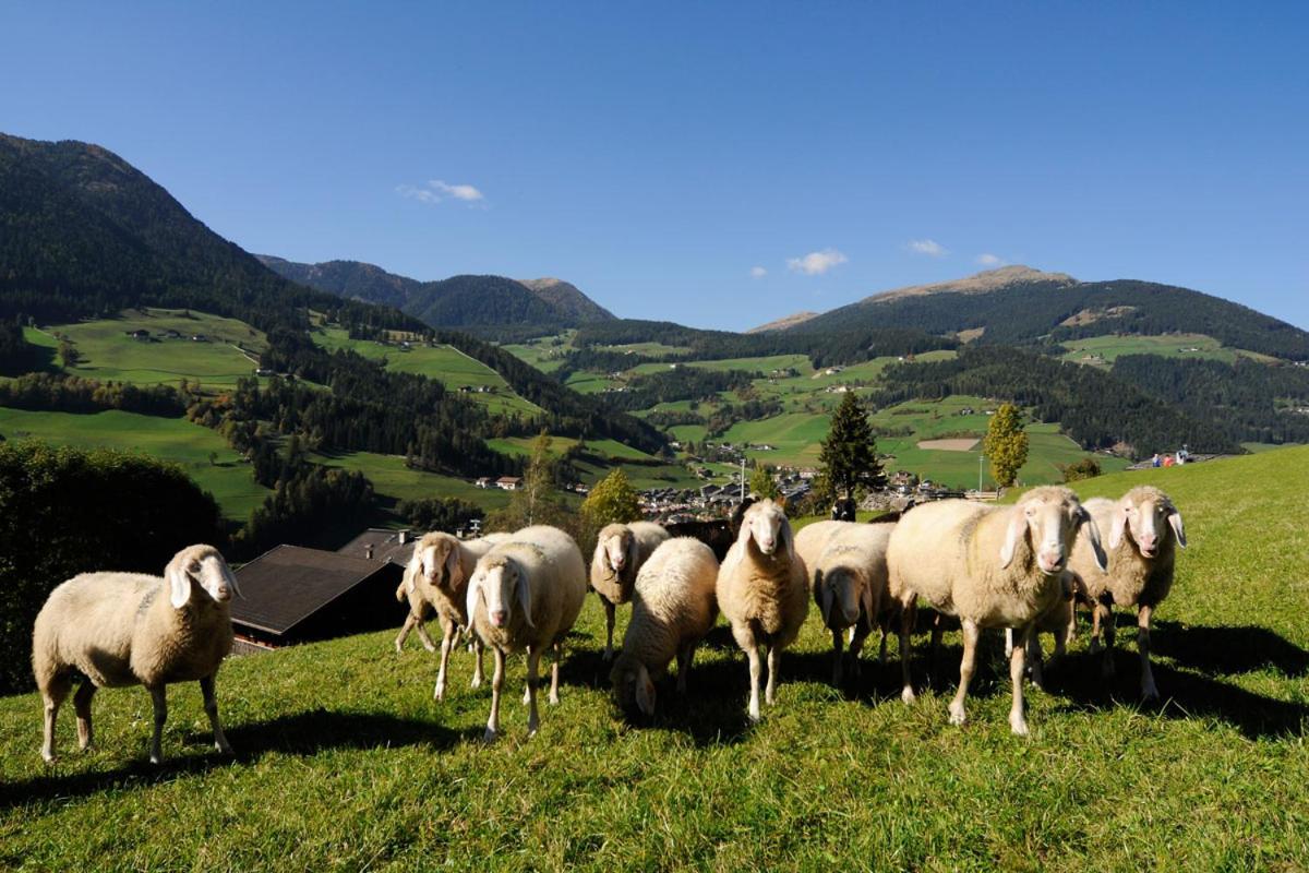 Botenhof - Urlaub auf dem Bauernhof - Agriturismo view 2
