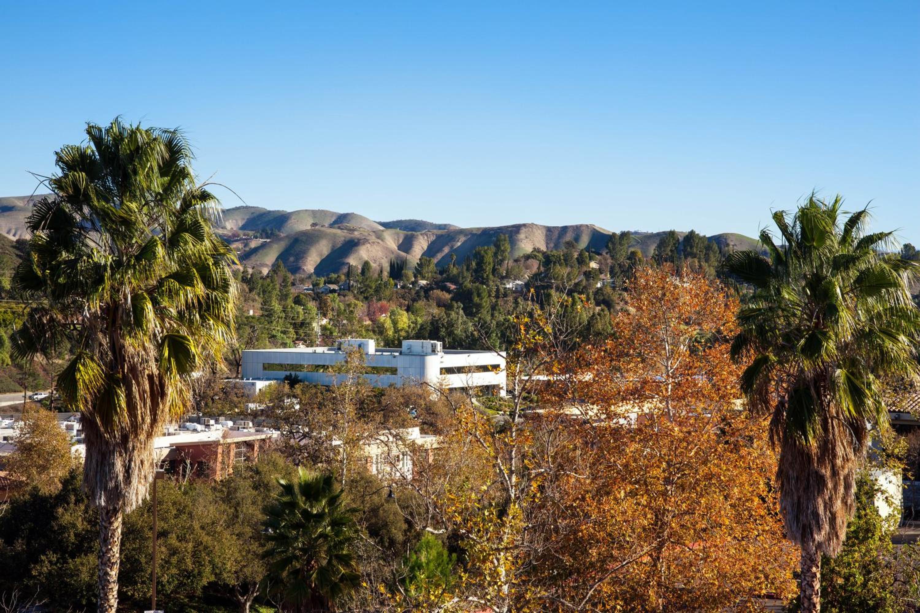 Sheraton Agoura Hills Hotel - Property Image 27