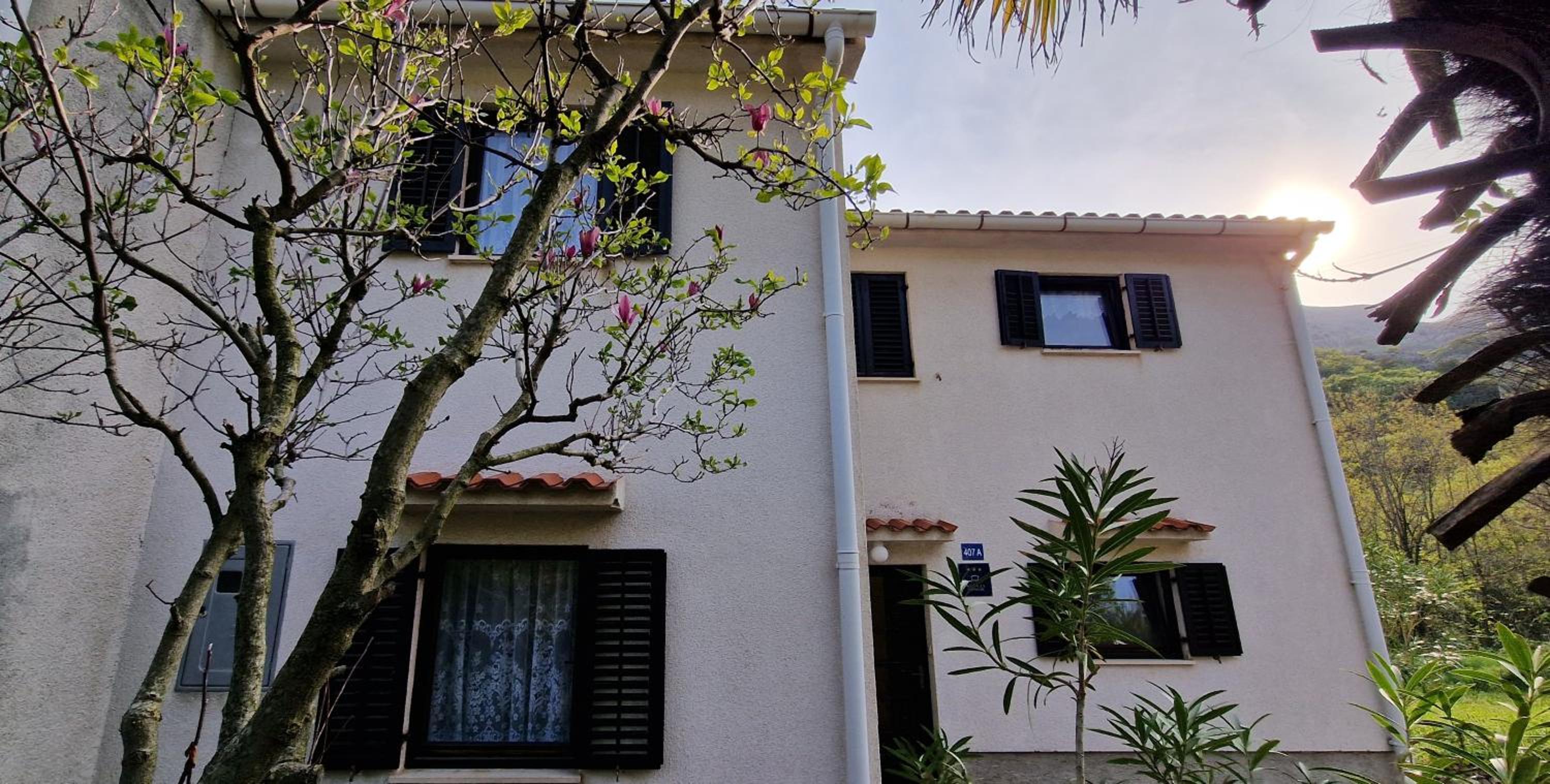 Photo 56