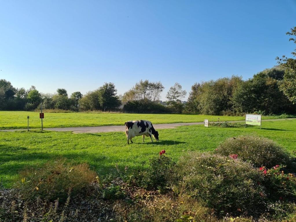 FEWO Morgenröte - Weserblick -Harriersand